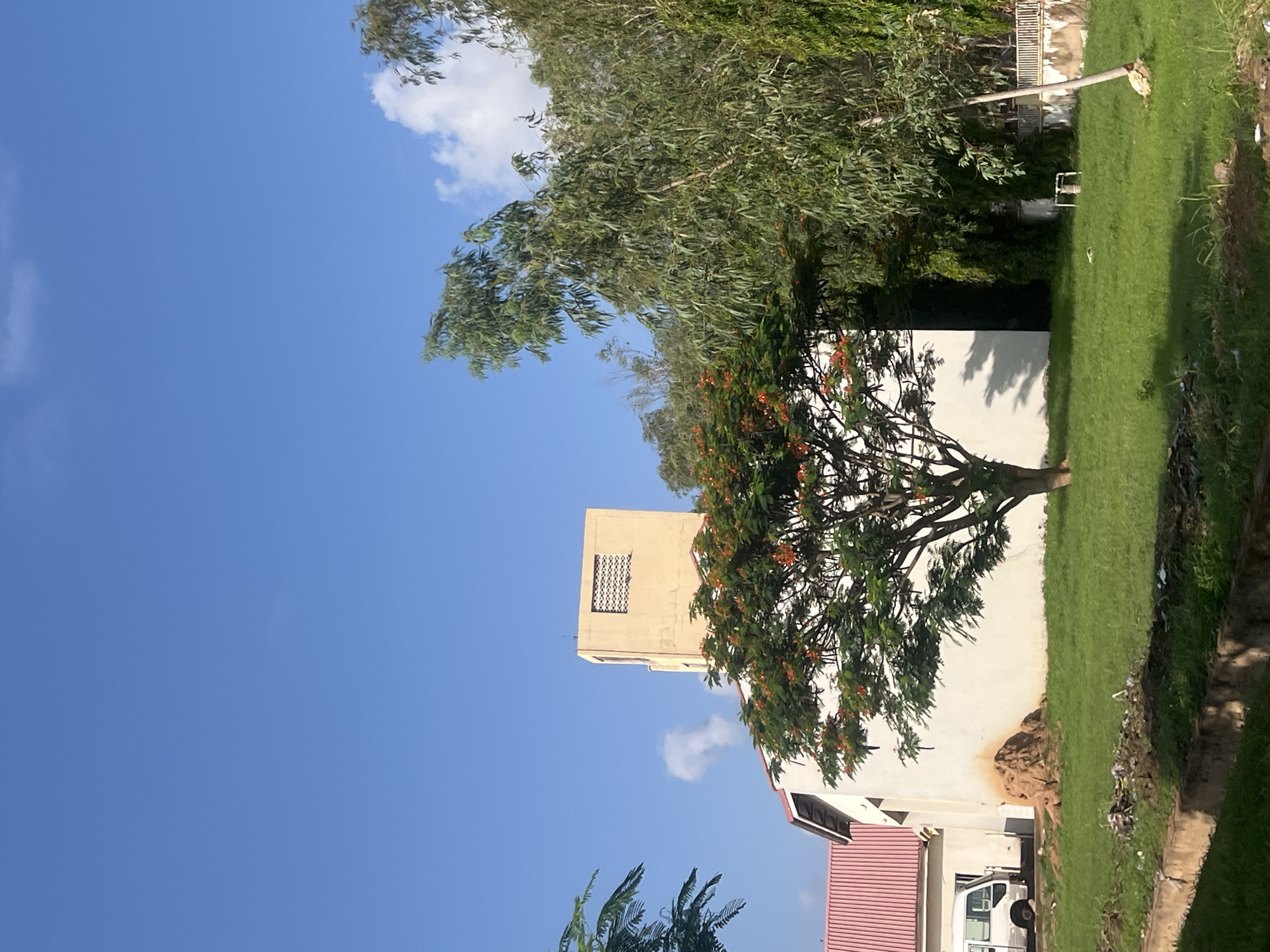 This image captures an outdoor scene in Jalingo, Nigeria, under a bright blue sky dotted with a few white clouds. The primary subject is a light-colored, possibly two-story building with a distinctive top section featuring a patterned window or vent. A large, leafy tree with vibrant red-orange flowers stands prominently in front of this building. To the right, another building with a red corrugated roof is partially visible, with a white van or minibus parked near it.
The foreground and midground are covered by lush green grass, suggesting a well-maintained area. A dense cluster of taller green trees forms a verdant backdrop along the upper right side of the frame. Some dirt and minor debris are noticeable at the base of the main building's wall where it meets the grass. Further into the grassy area, a small white pipe or structural element is visible. The bright lighting indicates a sunny day. There are no people visible, nor any discernible text.