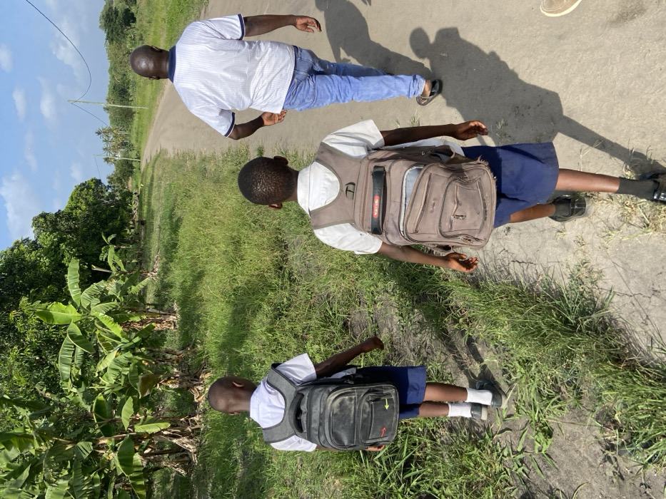 Three individuals, an adult male and two children, are captured walking along a sunny dirt path in Kibaha, Tanzania. The image appears to be taken from behind the subjects, looking forward along the path.
The adult, in the lead, wears a white collared shirt with blue accents, blue jeans, and sandals. Following him are two children, likely school students, dressed in white short-sleeved shirts and dark blue shorts or skirts. Both children carry backpacks; the child closer to the adult has a brown backpack with a light-colored top flap, while the child further back carries a black backpack with grey straps, which features a small red arrow graphic and some indistinct white text on its lower pocket. One child is wearing black shoes with visible white socks.
The path is unpaved, a mix of dirt and gravel, bordered by lush green grass and dense vegetation, including banana trees, on the left side. The clear sky in the background suggests bright weather, and distinct shadows cast by the subjects on the ground indicate direct sunlight, likely mid-morning or early afternoon. In the distance, electricity poles are visible, extending along the path into the horizon. The scene depicts a daily commute, possibly to school, through a verdant, semi-rural landscape.