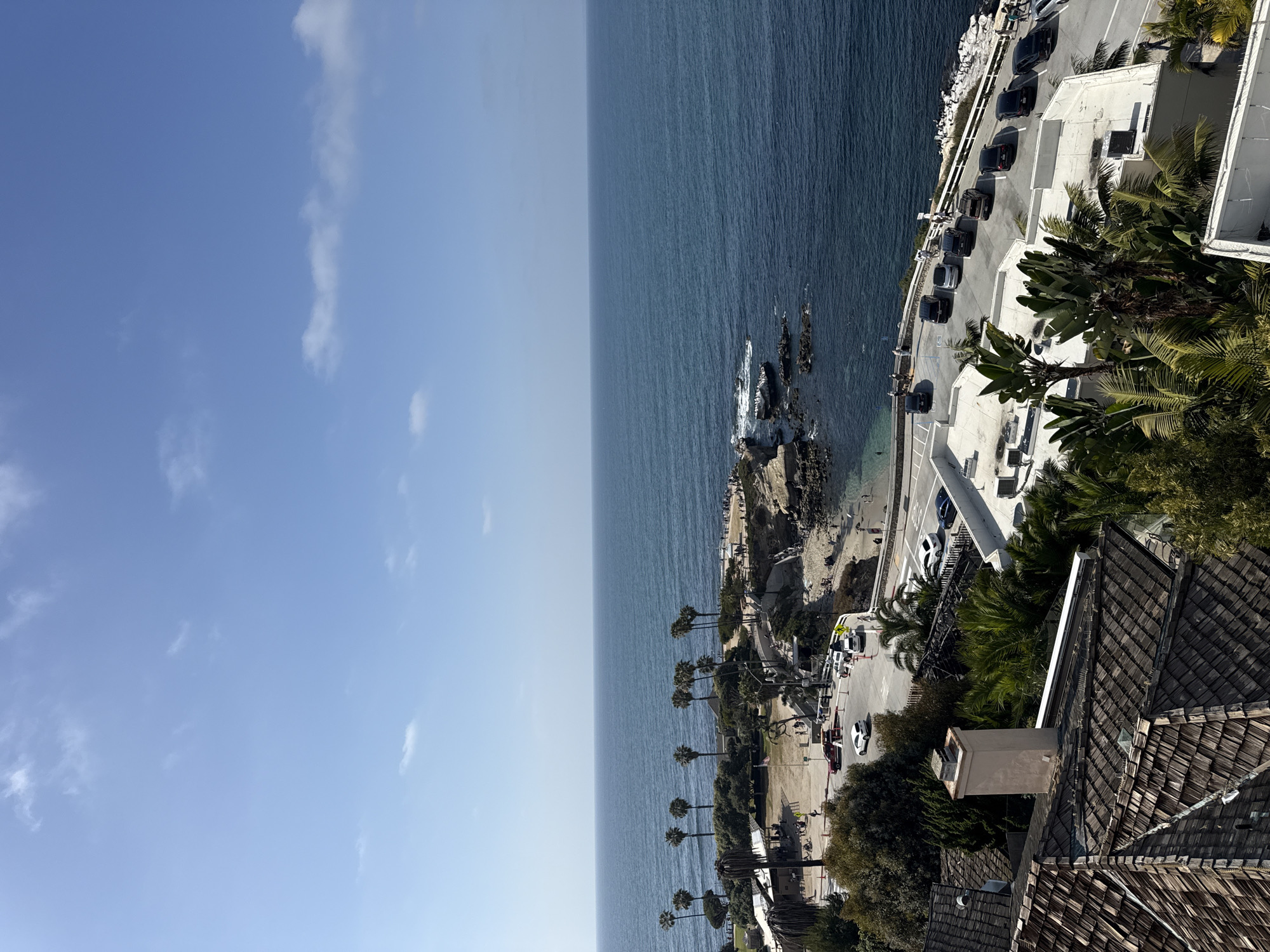The image is a high-angle, panoramic view that captures a coastline scene on a sunny day. To the left is a clear blue sky with sparse white clouds. The sky transitions to a deep blue ocean, with the coast running vertically along the right. The coastline has a mix of rocky outcrops, sandy beaches, and cliffside vegetation, predominantly palm trees.
Along the coast, there is a road with visible vehicles parked. Buildings are also present, partially obscured by trees and foliage. The overall impression is that of a coastal area with a mix of natural and urban elements.
Based on the coastal features and the presence of palm trees, as well as the architectural style of the buildings, it is likely the image was taken in the city of San Diego, California, United States of America.