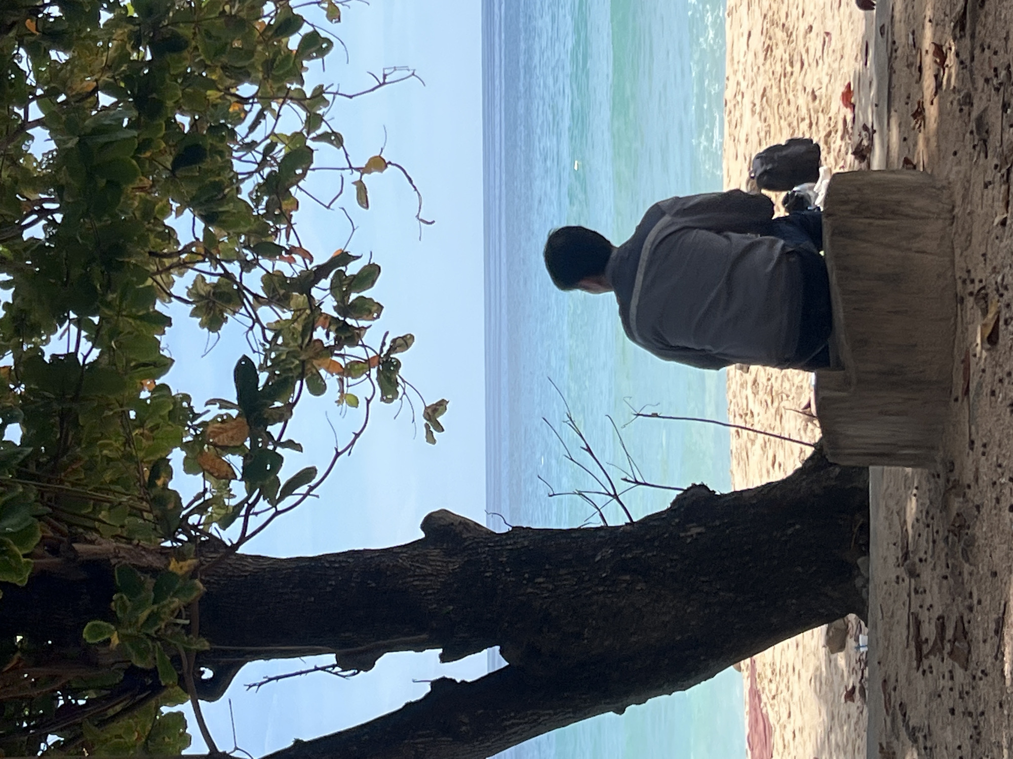 A person sits on a concrete stump on a sandy beach in Choeng Thale, Thailand, facing the ocean. The person, seen from the back, wears a gray long-sleeved shirt with a lighter stripe detail on the shoulders and dark pants. They are seated on a rough, cut-off concrete base. To the right of the person, a black backpack rests on the sand. The beach has scattered leaves and debris. A large tree with dark bark and green and yellowing leaves stands to the left of the frame, casting a shadow. The ocean in the background is a vibrant turquoise, meeting a clear blue sky at the horizon.