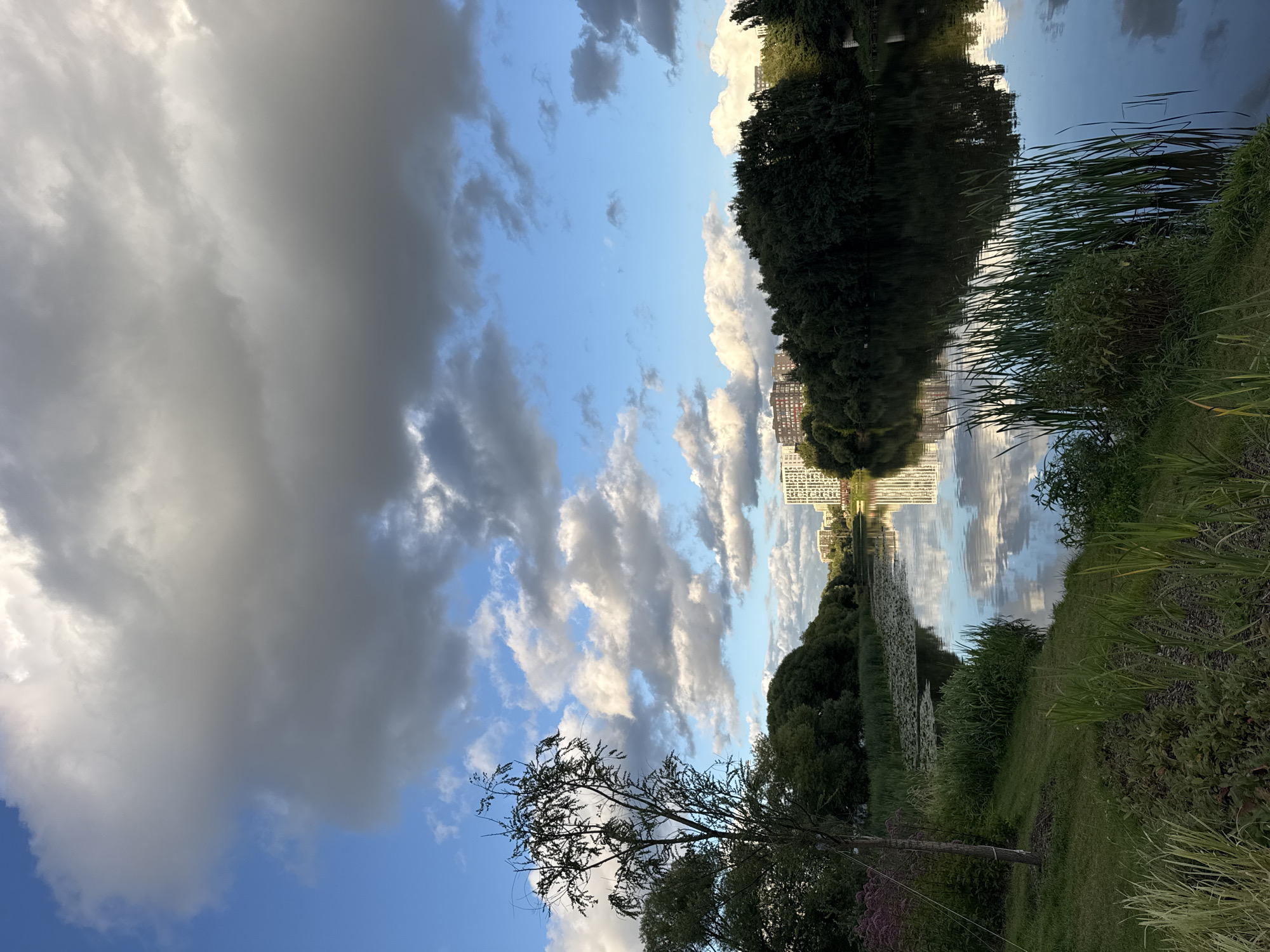 The image depicts a scenic view of a calm body of water, likely a river or lake, with reflections of the sky and surrounding trees. Tall, lush green trees line the banks of the water, creating a dense forest on the right side of the frame and a more sparse arrangement with a lone tree on the left. The water is partially covered with lily pads in the distance. In the background, several modern, multi-story buildings are visible, suggesting an urban or suburban environment. The sky is a vibrant blue, interspersed with large, dramatic clouds, some of which are dark and grey, indicating varied weather conditions. The foreground features grassy banks with reeds and other vegetation. The overall impression is one of natural beauty juxtaposed with modern architecture. This scene is located in the city of Kommunarka, Russia.