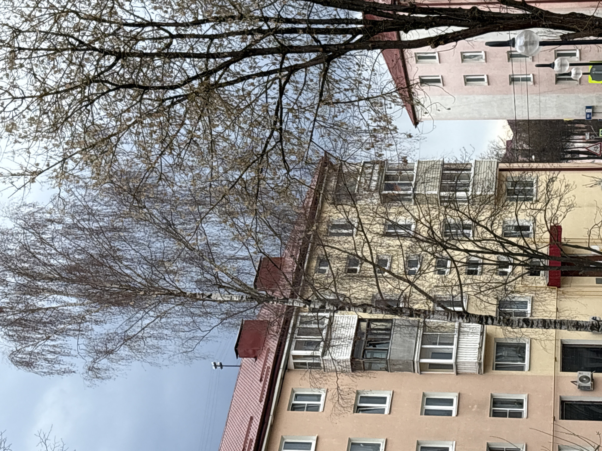This outdoor image shows a building in Klin, Russia, as suggested by the architectural style typical of the region. The facade of the building is light tan with multiple windows, some with open shutters. A tree with bare branches occupies a significant portion of the view, obscuring parts of the building. The sky is overcast. Another building with a pale pink facade and streetlights is also present.