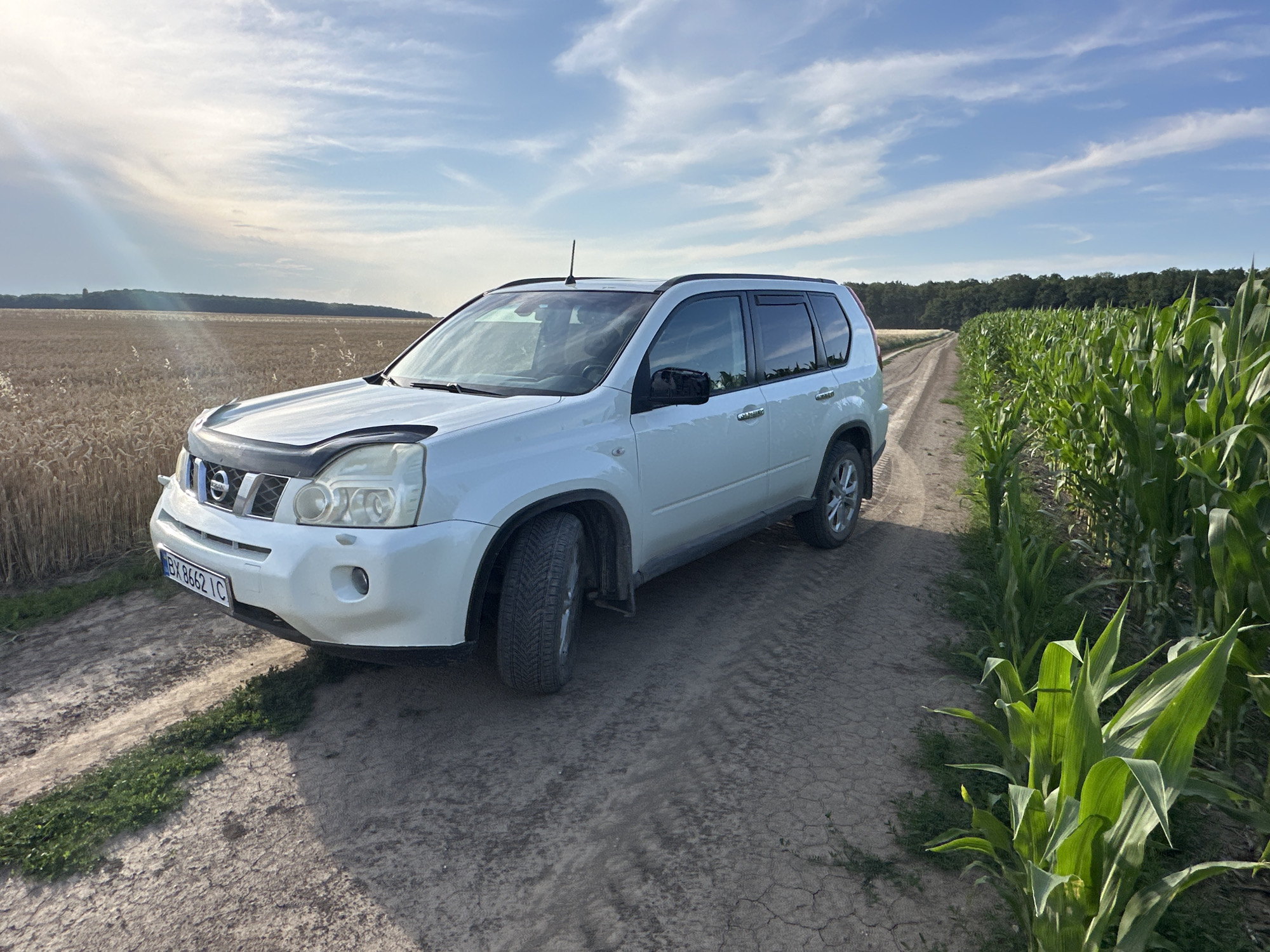 A white Nissan X-Trail SUV is parked on a dirt road beside a cornfield and a dry field under a partly cloudy sky. The SUV is facing the left, with its front bumper and driver's side visible. The license plate reads "BX 8662 IC". The road is flanked on the right by a dense cornfield with tall, green stalks and on the left by a field of dried wheat. A line of trees is visible in the distance beyond the dried field. The sky has scattered white clouds against a blue backdrop. The overall scene depicts a rural setting in or near Slobidka-Zalisetska, Ukraine.