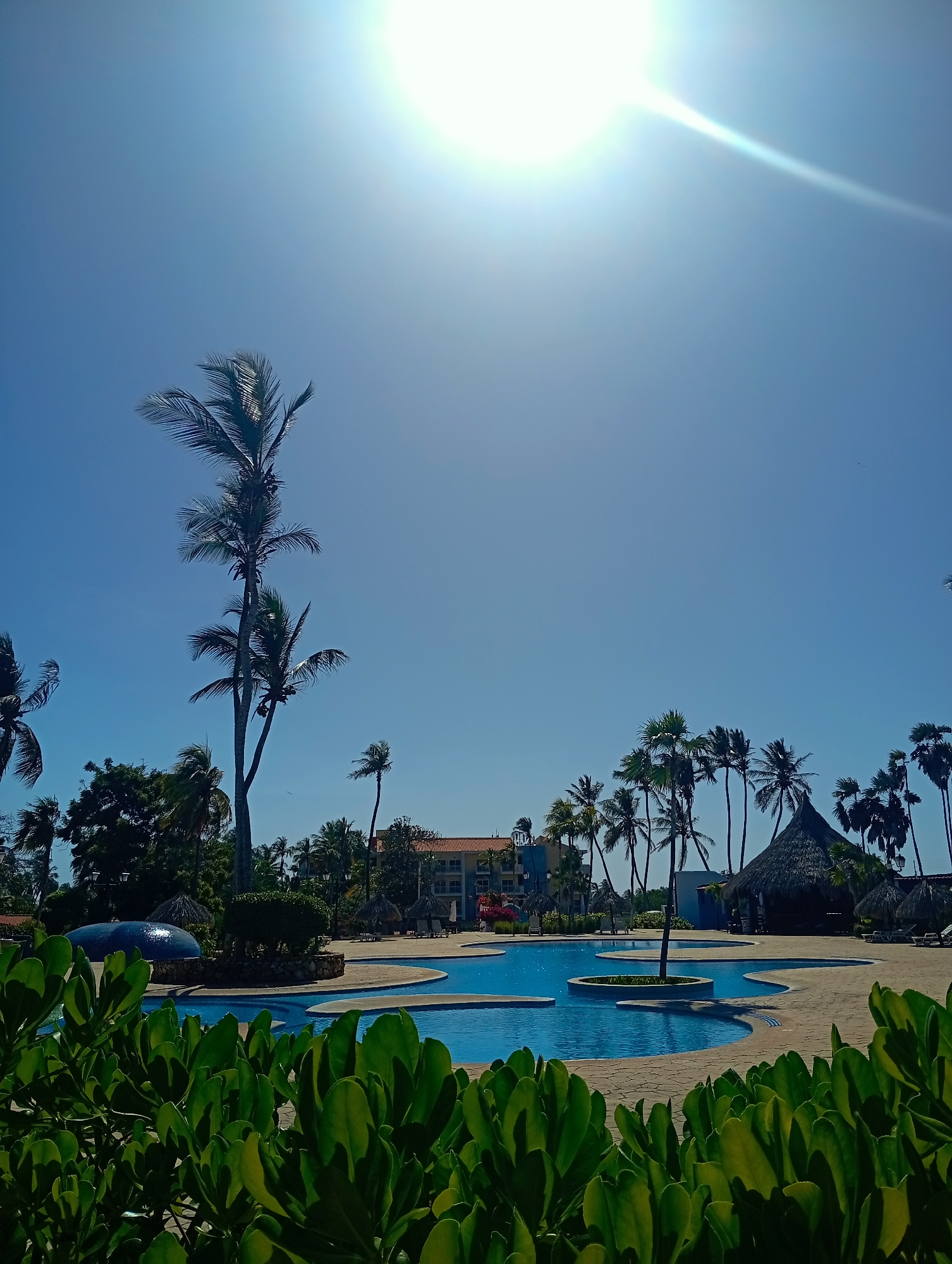 The image depicts a tropical resort scene on a sunny day, likely taken in Playa El Agua, Venezuela, given the location information. In the foreground is lush green foliage, partially obscuring a uniquely shaped swimming pool with connected segments and clear blue water. Numerous palm trees are scattered throughout the scene, typical of tropical locations, and provide some shade. Several thatched-roof structures, possibly bars or relaxation areas, are located near the pool. A multi-story building with a red tile roof is visible in the background. The sky is a clear, bright blue, with the sun shining intensely, creating a lens flare effect at the top of the frame. There is no visible human activity.