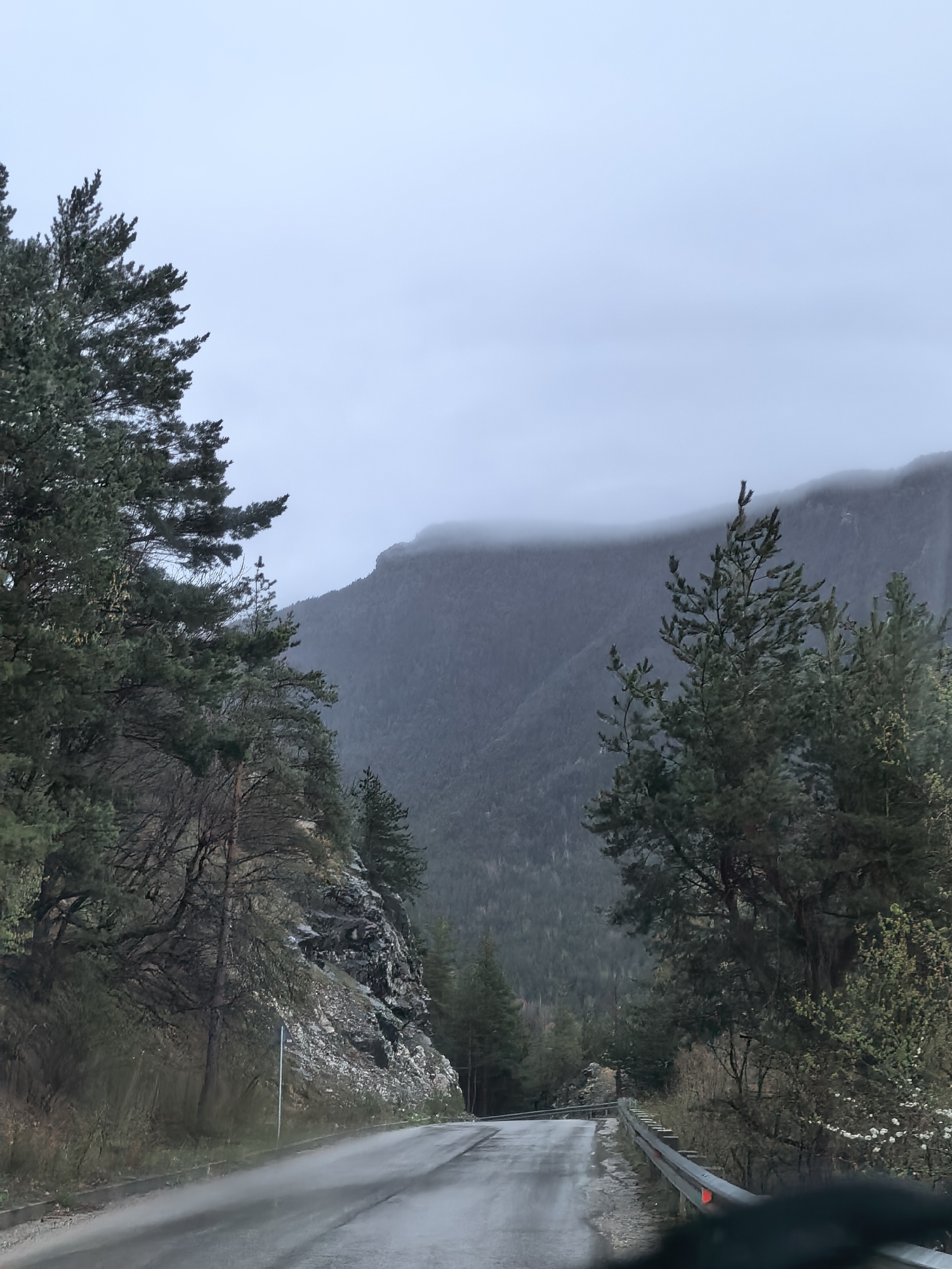 This image presents a view from inside a vehicle traveling on a wet, paved road through a mountain valley on an overcast day. The road, which appears damp and reflective, curves gently into the distance.
The landscape is dominated by dense forests and mountains. On both sides of the road, tall coniferous trees, primarily pines, frame the scene. To the left, a steep, rocky embankment covered with sparse vegetation, including some bare-branched trees and patches of light-colored rock or snow, rises sharply. A thin, white road marker with a blue top is visible near the base of this embankment. To the right, a metal guardrail with a red reflector parallels the road, beyond which more trees, including some with new spring growth or blossoms, line the hillside.
In the background, large mountains loom under a uniformly light gray, cloudy sky. The upper sections of these mountains are obscured by low-hanging clouds or mist, giving them a softened, ethereal appearance. The overall lighting is dim and diffused, suggesting an early morning, late afternoon, or simply a heavily overcast day with potential rain. There are no people visible, and no discernible text is legible on any signs or objects. The scene evokes a sense of quiet wilderness and perhaps a cool, damp atmosphere.