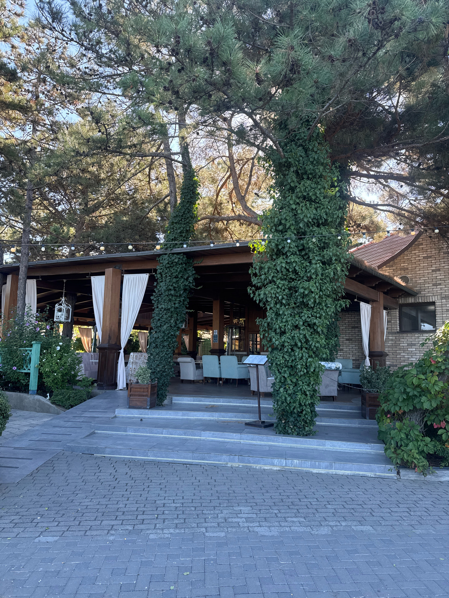 An outdoor seating area of a restaurant is depicted, situated in Anapa, Russia. The establishment features a covered wooden pavilion with white curtains draped along the sides. Several tables and chairs are visible within the pavilion, suggesting a dining setting. Tall evergreen trees with pinecones surround the area, and a brick building forms the background. The foreground consists of a paved pathway leading up to a set of stone steps that access the restaurant's entrance. The overall ambiance is natural and serene, indicative of a dining experience in a temperate climate.