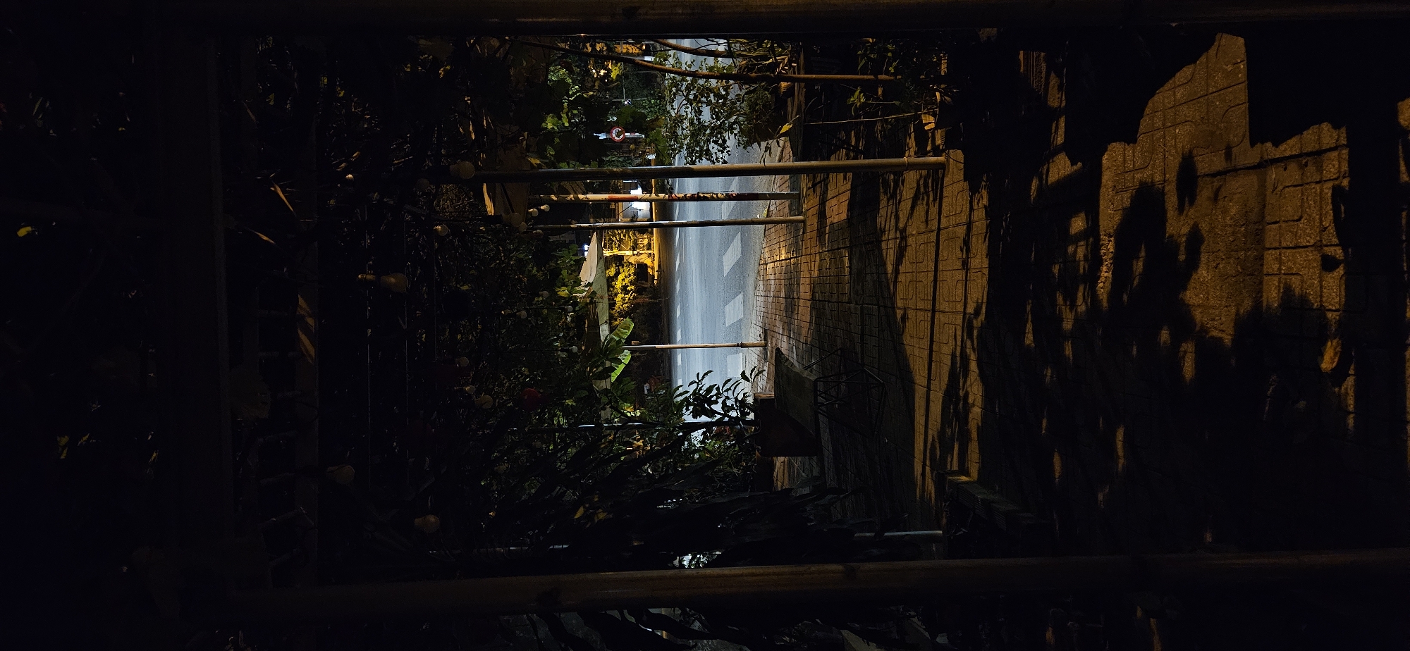 This nighttime photograph captures a quiet street scene, likely taken from an elevated vantage point such as a balcony. The image, when correctly oriented (rotated 90 degrees clockwise), reveals a dark railing in the immediate foreground, indicating the perspective.
To the left, dense, dark foliage, possibly trees and bushes, lines the street. A few lighter spots within the greenery might be flowers or decorations, faintly illuminated by distant lights.
In the center of the image, a paved road or alleyway appears wet and reflective, suggesting recent rain. White pedestrian crosswalk markings are clearly visible on the dark surface, which is illuminated by streetlights, creating a bright streak down its length. A metal barrier or fence runs along the edge of the road, separating it from the foliage on the left.
On the right side of the street, a textured wall, possibly made of concrete blocks with a repeating pattern, is strongly illuminated by warm-toned artificial light. This light casts dramatic and intricate shadows of overhead tree branches and leaves onto the wall.
Further down the street, in the background, more artificial lights are visible, along with a faint red circular sign, possibly a traffic sign, partially obscured by the surrounding vegetation and light. No people or vehicles are present, creating a still and tranquil atmosphere. The scene is devoid of any legible text apart from the indistinct crosswalk markings. The wet street is the most notable weather cue.
