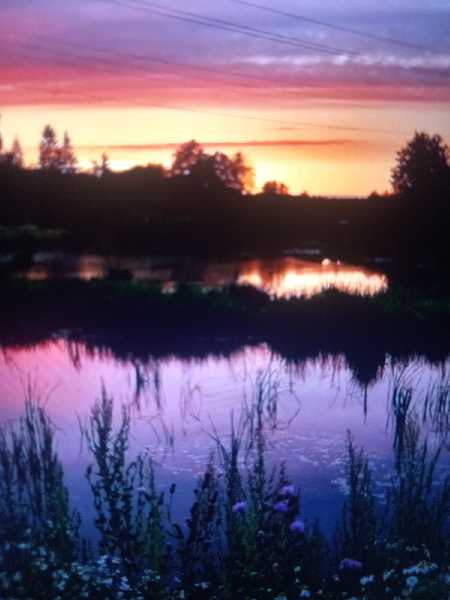 This media file is a photograph capturing a sunset over a body of water. The sky is a vibrant display of colors, transitioning from a deep purple at the top to shades of pink and orange near the horizon. Silhouetted trees line the far bank of the water, their forms dark against the bright sky.
The water itself reflects the colors of the sunset, creating a mirror image of the sky and the treeline. Reeds and other aquatic plants are visible along the edges of the water and emerge from it, adding texture to the scene. In the foreground, more vegetation, including small flowers, is visible, further framing the reflective water.
The overall impression is one of tranquility and natural beauty, characteristic of a peaceful evening. The time of day is clearly sunset, and the weather appears calm, as indicated by the still reflection on the water. There is no visible text in the image.