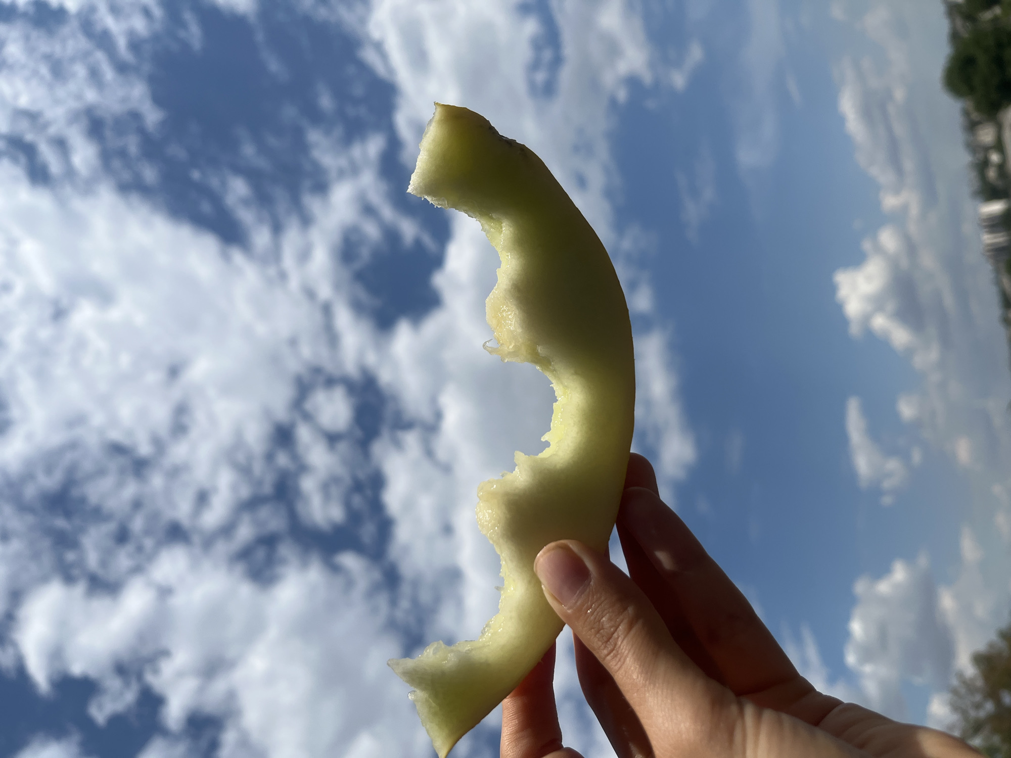 A hand holds a bite-sized piece of melon against a bright blue sky filled with white, fluffy clouds. The melon slice is pale green with visible teeth marks. In the distance, the blurry outlines of buildings and trees suggest an urban environment. The scene is likely outdoors, possibly in Rybnitsa, Moldova, on a clear, sunny day.