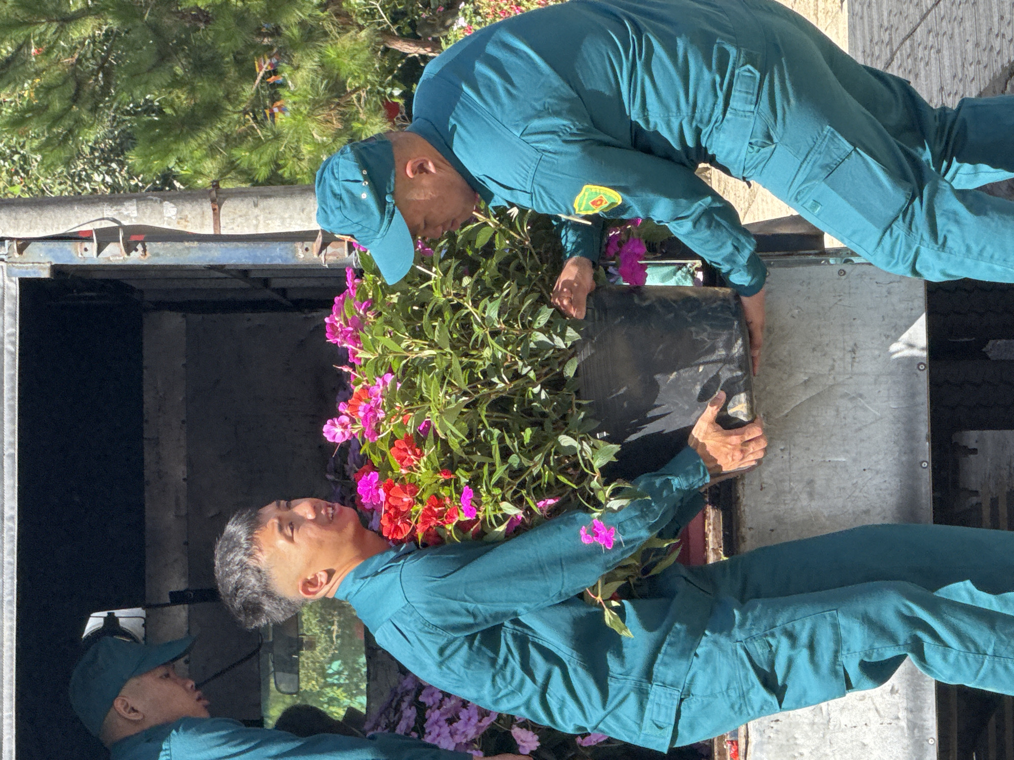 Two men in teal uniforms and caps are loading a large potted plant with pink and red flowers into the back of a truck. The man on the left is facing forward and looking at the plant. The man on the right is facing away from the camera, bent over and holding the pot. The truck bed is metallic and appears to be partially open. In the background, there are pine trees and a concrete pole. The scene suggests it is daytime due to the bright sunlight and shadows. The location is identified as Da Lat, Vietnam.