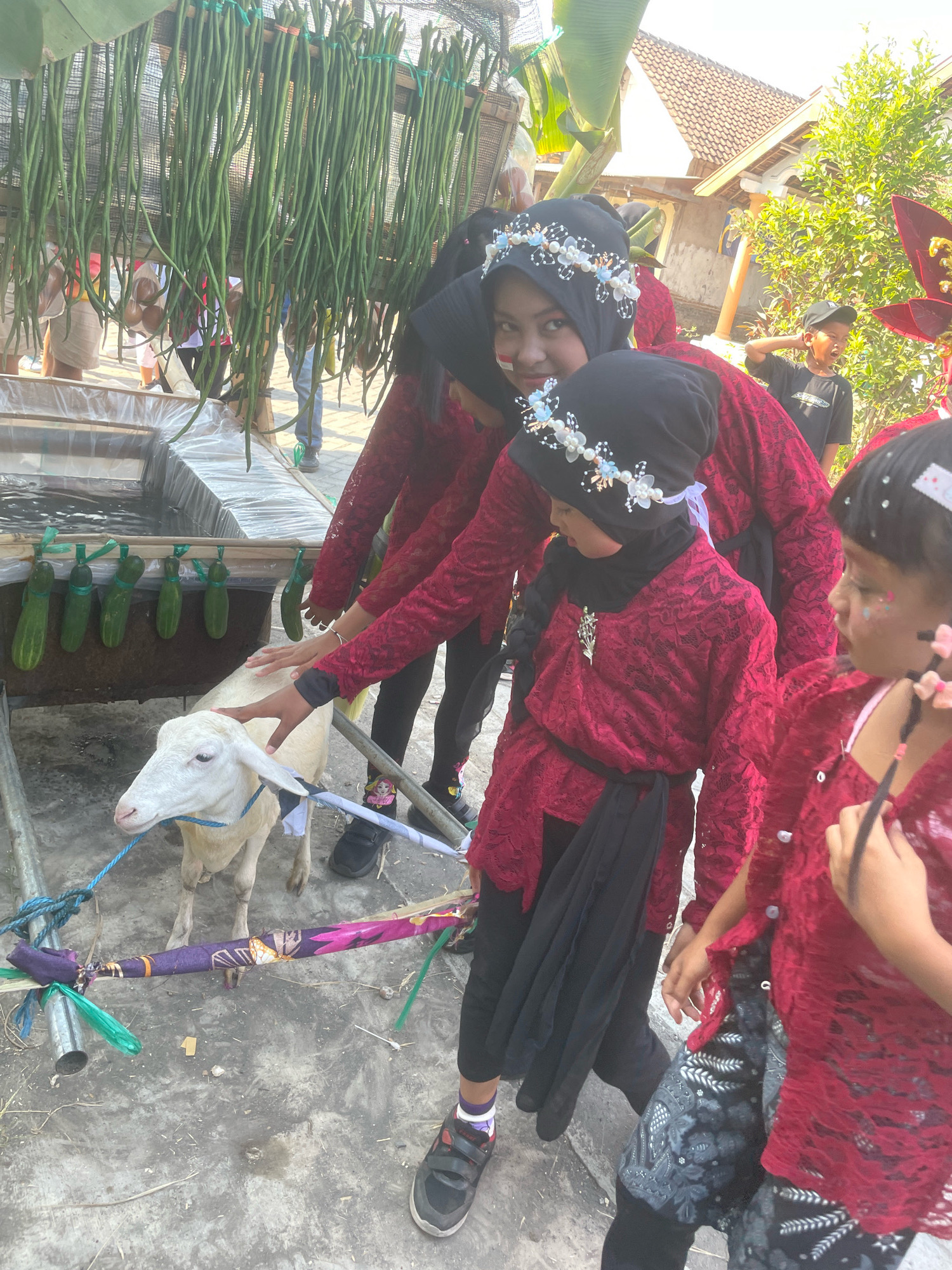 In Kebon Waris, Indonesia, a group of children dressed in traditional red lace tops and black headscarves participate in an outdoor event. A white goat is tethered with blue rope to a metal enclosure. Several long green beans are strung up and hanging above a water trough. The ground is concrete and scattered with debris. A boy in a black t-shirt and cap stands in the background, looking towards the right. The children are interacting with the goat, with some touching its head. The scene appears to be a cultural or festive gathering.