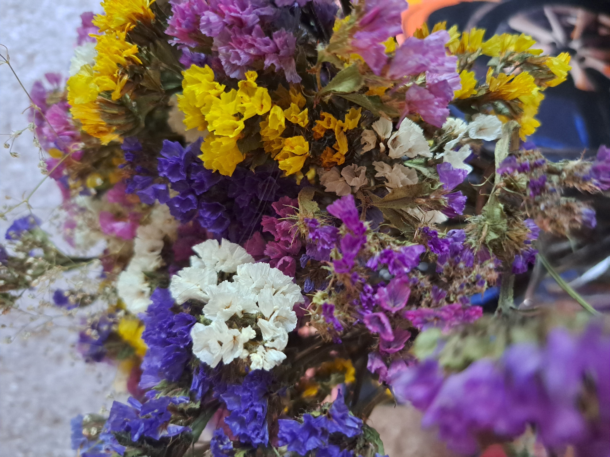 A close-up, eye-level shot captures a vibrant bouquet of dried flowers, predominantly in shades of purple, blue, yellow, pink, and white. The flowers, likely statice, are clustered tightly together, with some branches extending upwards. The background is softly blurred, showing a textured, light-colored wall and hints of darker colors, possibly clothing or furniture, out of focus. The lighting appears natural, casting soft shadows and highlighting the delicate textures of the dried petals. The image does not depict any specific location within Vypasne, Ukraine, nor does it show any people or actions. It is a still life composition focusing solely on the floral arrangement.