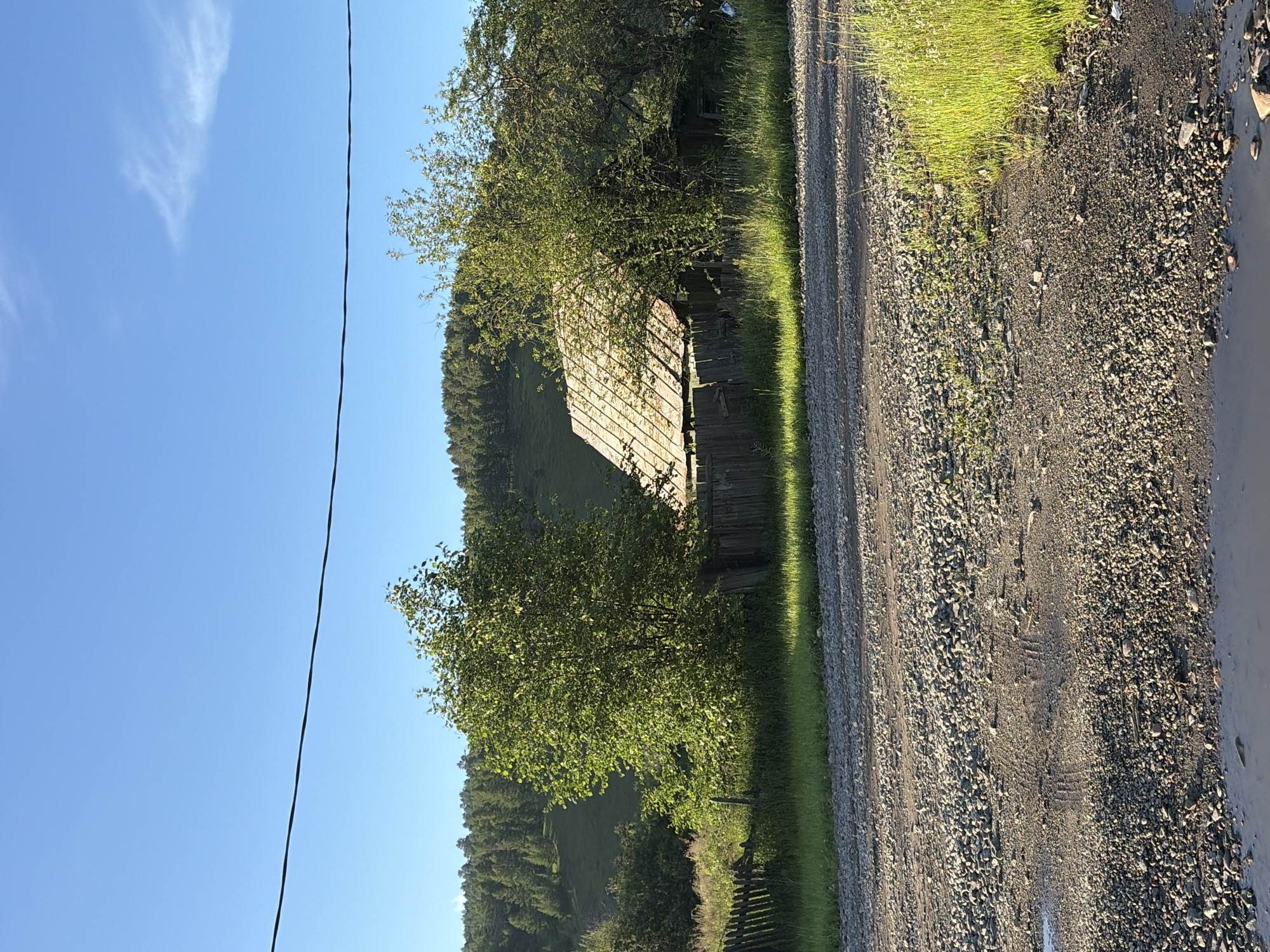 The image depicts a rural scene in Skovorodino, Russia. In the foreground, a gravel road is visible, with a puddle of water on the left side. A wooden fence runs along the middle ground, separating the road from a grassy area and a dilapidated wooden structure with a weathered roof. Several trees with green foliage are scattered around the structure, and a wooded hill with a dense forest covers the background. The sky is clear and blue. A thin black wire runs horizontally across the upper portion of the image.