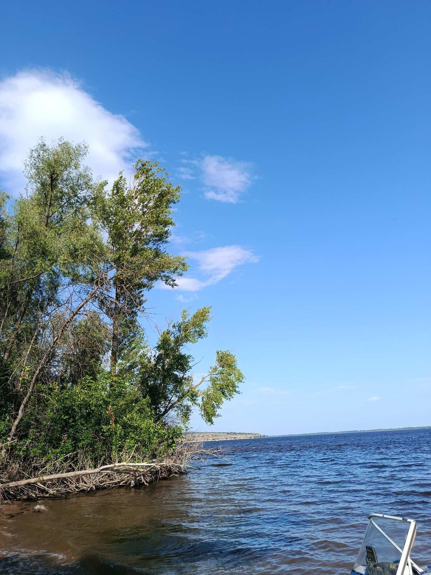 The image shows a body of water with a treeline on the left and the corner of a boat in the lower right. The sky is blue with scattered white clouds. The water is dark blue with ripples. The treeline consists of various trees, some with green leaves and others with bare branches. A fallen tree lies on the shore, partially submerged in the water. The scene appears to be a natural landscape, likely a river or lake, under a clear sky. The location is identified as Voskresensky District, Russia.