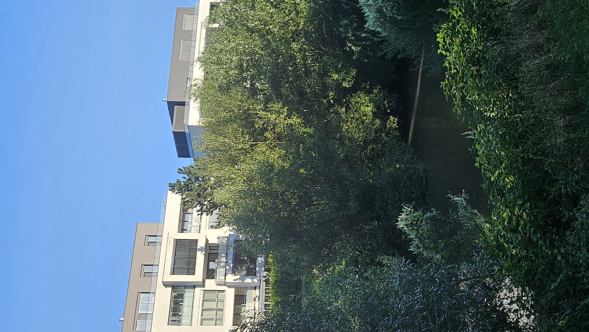 The image depicts a section of the Sekčov River in Prešov, Slovakia, with a modern apartment complex visible in the background. The river is calm and dark, bordered by dense green foliage. The apartment building, a multi-story structure with a white facade, features balconies, large windows, and grey architectural elements. The sky above is clear and blue. The foreground is dominated by lush trees and vegetation, with some dry grasses and leaves on the ground. The lighting suggests it is daytime, with sunlight casting shadows. There are no people or animals visible in the scene.