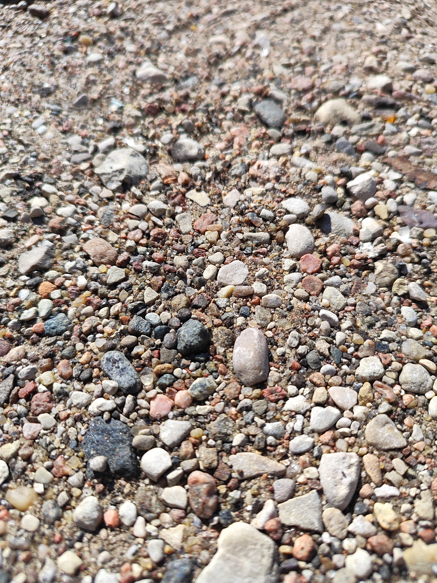 The image displays a close-up, ground-level view of a surface covered with small stones, pebbles, and sand. The materials vary in color, ranging from light gray and white to reddish-brown and dark gray, with some stones exhibiting multi-colored patterns. The stones are of irregular shapes and sizes, with some being rounded and others angular. The lighting suggests an outdoor environment, likely under natural sunlight, as indicated by the shadows and highlights on the surfaces of the stones. The background is out of focus, creating a shallow depth of field that emphasizes the texture and detail of the foreground stones. There are no people or discernible structures visible in the image. This scene is a general depiction of gravel or a stony ground surface, which could be found in various outdoor locations within a city, including pathways, unpaved areas, or natural environments. Without further context or identifying landmarks, it is impossible to pinpoint this specific location within the city of Hrodna, Belarus.