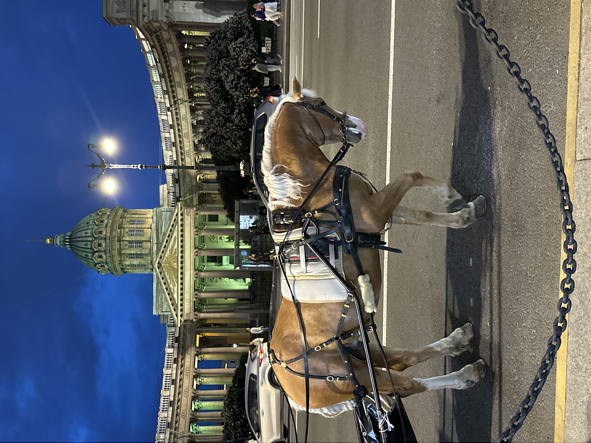 This is a full-frame, eye-level, outdoor shot of a horse-drawn carriage on a street at dusk. The horse is a chestnut color with a white mane and is harnessed to a black carriage. It is walking on the right side of the road, which has white lane markings. In the background, the Kazan Cathedral in Saint Petersburg, Russia, is illuminated with green and yellow lights. The cathedral features a prominent green dome with a golden finial. A curved colonnade with classical columns extends from the cathedral. Several cars are on the road, and a few people are walking on the sidewalk. A streetlamp with two bulbs is visible to the right of the cathedral's dome. A dark metal chain fence is in the foreground. The sky is a deep blue with some clouds.