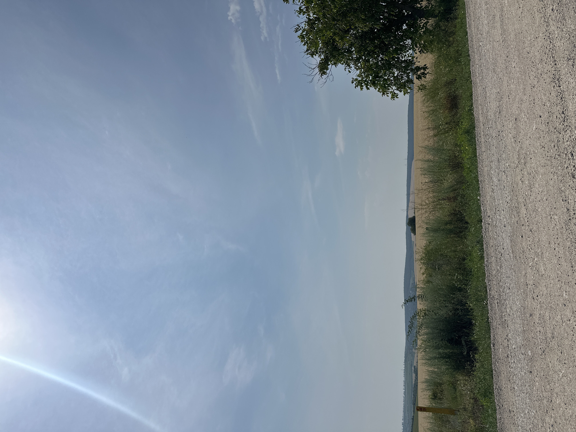 The image depicts an outdoor scene on a sunny day with a bright sun flare in the upper left corner. The foreground features a dirt road with gravel. Behind the road, there is a strip of green grass and weeds, followed by a field of golden crops, likely wheat or barley. A dense green tree stands on the right side of the frame, with its branches extending into the upper right quadrant. In the background, rolling hills are visible, dotted with vegetation and what appear to be distant structures or trees. The sky is a pale blue with scattered white clouds. There are no people or animals visible in the image. The environment suggests a rural or agricultural setting.