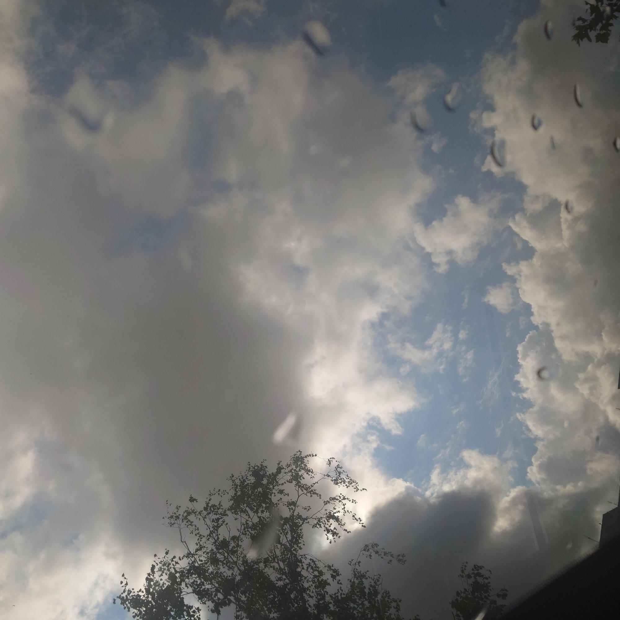The image captures a cloudy sky with patches of blue visible through the overcast. On the left side, a silhouette of a tree with dark foliage extends into the frame. Several circular, light-colored smudges are scattered across the image, appearing to be water droplets on a surface, possibly a window. The lower part of the image shows a dark, angled line, suggesting it is a view from inside a vehicle or building, looking upwards. The context provided by the prompt indicates this scene is in Belorechensk, Russia. The sky appears to be experiencing a break in rain or is clearing up.