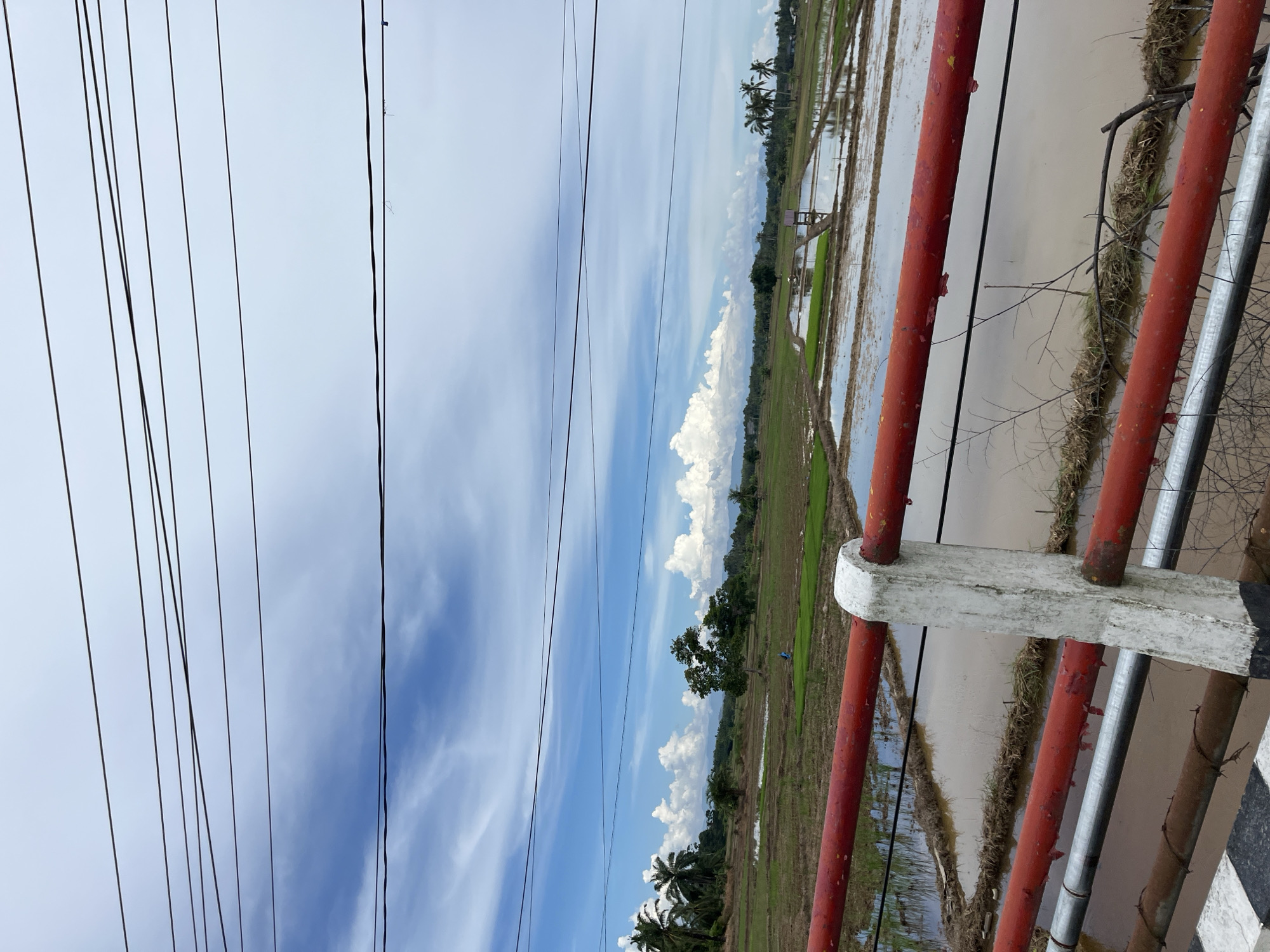 This image captures a landscape view of Seuneubokpunti, Indonesia. The foreground is dominated by a red railing on a bridge, with a white concrete support post. Beyond the railing, a vast expanse of flooded rice paddies stretches into the distance, reflecting the sky. Several small structures, possibly shelters for farmers, are visible in the paddies. The middle ground features green rice seedlings in some of the paddies, and a solitary figure, likely a farmer, is present. Palm trees and other lush vegetation line the horizon. The sky is a brilliant blue, dotted with white, fluffy clouds, and crisscrossed by multiple power lines.