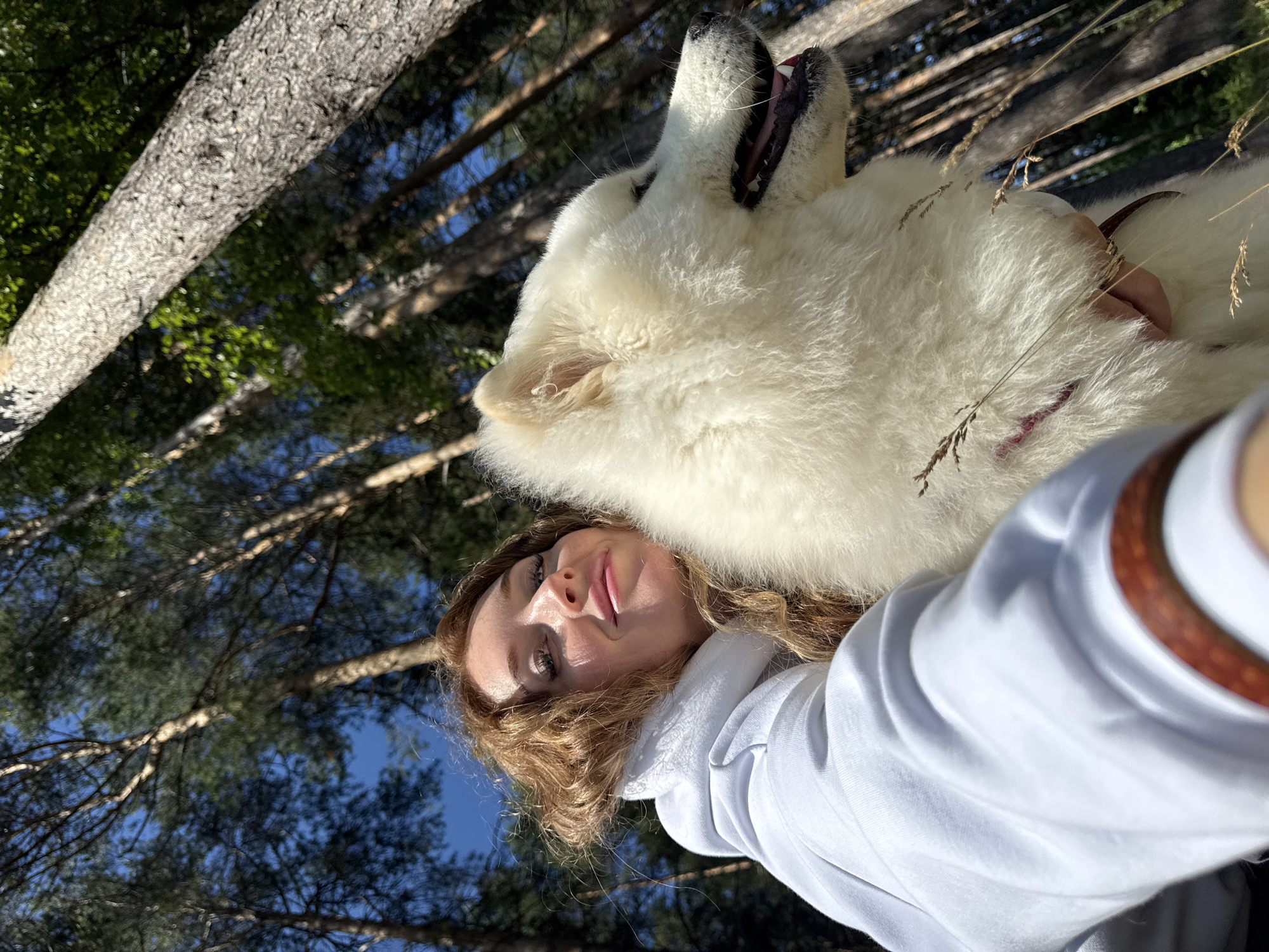 An outdoor, waist-up, eye-level, medium shot shows a fair-skinned woman with reddish-brown wavy hair and blue eyes, looking up and to her left, holding a large, fluffy white dog. She is wearing a white hooded sweatshirt and a brown leather wristband. The dog, a Samoyed, is facing to the right, with its mouth open and tongue visible. The background consists of tall, thin pine trees and a bright blue sky. The scene appears to be a forest, possibly in or near Chaikovsky, Russia, given the type of trees and the lighting conditions. The overall mood is casual and happy, with both subjects appearing relaxed and enjoying the outdoors.