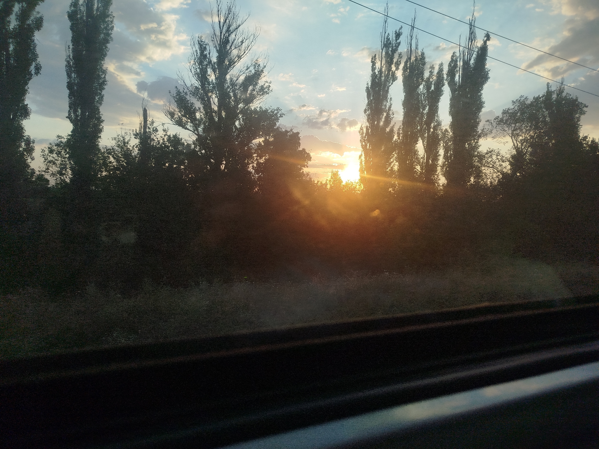 This is a photograph taken from a moving vehicle, likely a train, looking out a window. The scene is a rural landscape in Zelene, Ukraine, during sunset. Tall, slender trees dominate the silhouette against a cloudy sky, with the sun's bright rays piercing through the foliage. The lower portion of the image is a dark, reflective surface, possibly the interior of the vehicle, with hints of the passing landscape visible as blurs. The overall impression is one of motion and the fleeting beauty of a sunset in the countryside.