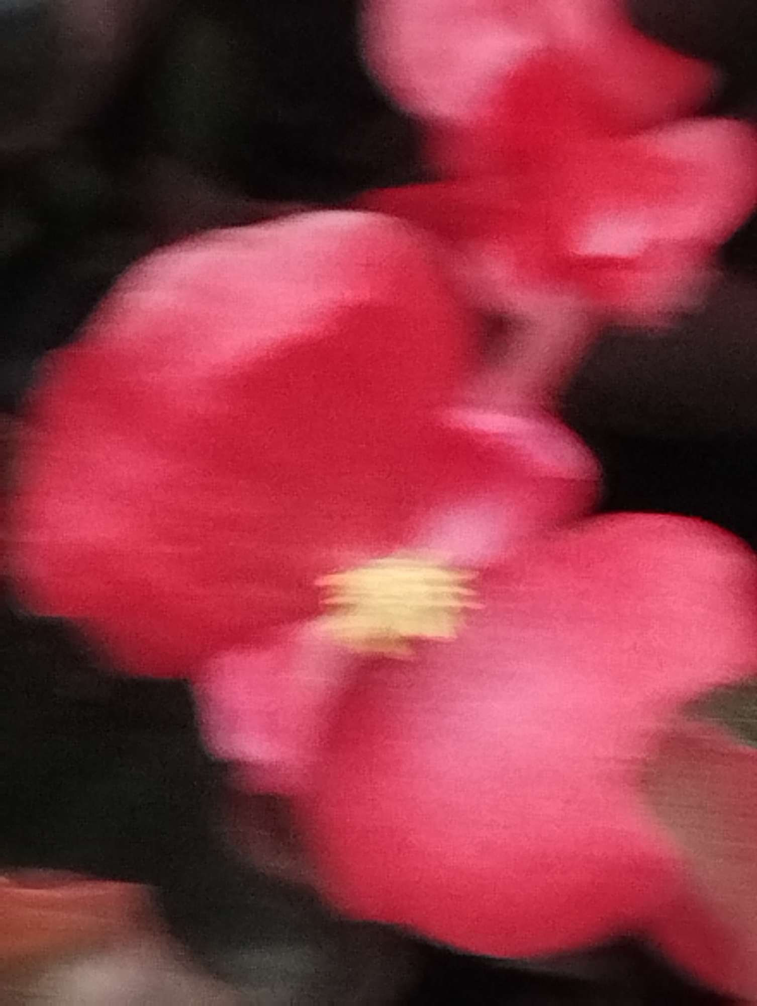 The image is a close-up, blurry, abstract depiction of pink and red flowers, likely hydrangeas, with dark foliage in the background. There are no discernible people, objects, or actions. The location in Istanbul, Turkey, is not identifiable from the provided image. The composition is dominated by soft, unfocused masses of color, creating a painterly effect.
