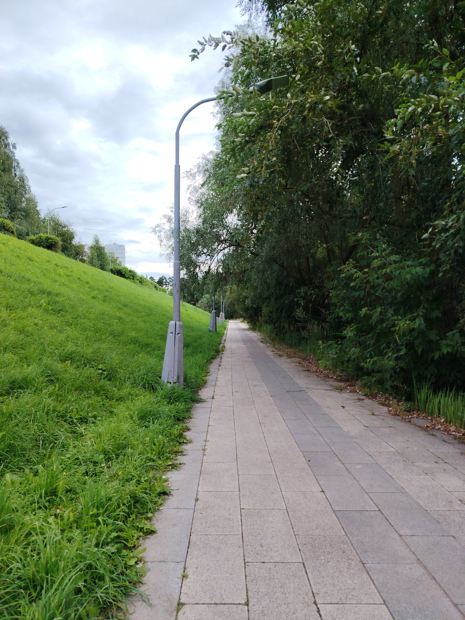 The image depicts a paved pathway running alongside a grassy embankment on the left and a dense line of trees on the right. The pathway is made of rectangular concrete slabs. Several modern streetlights with grey poles are visible along the pathway, some partially obscured by foliage. The grassy embankment is lush and green, with taller grasses and some smaller plants. In the background, a multi-story building is visible amongst trees, suggesting an urban or suburban setting. The sky is overcast with grey clouds. This scene is located in the city of Zelenograd, Russia, likely in a park or a landscaped area adjacent to residential buildings. No people or animals are present in the image.