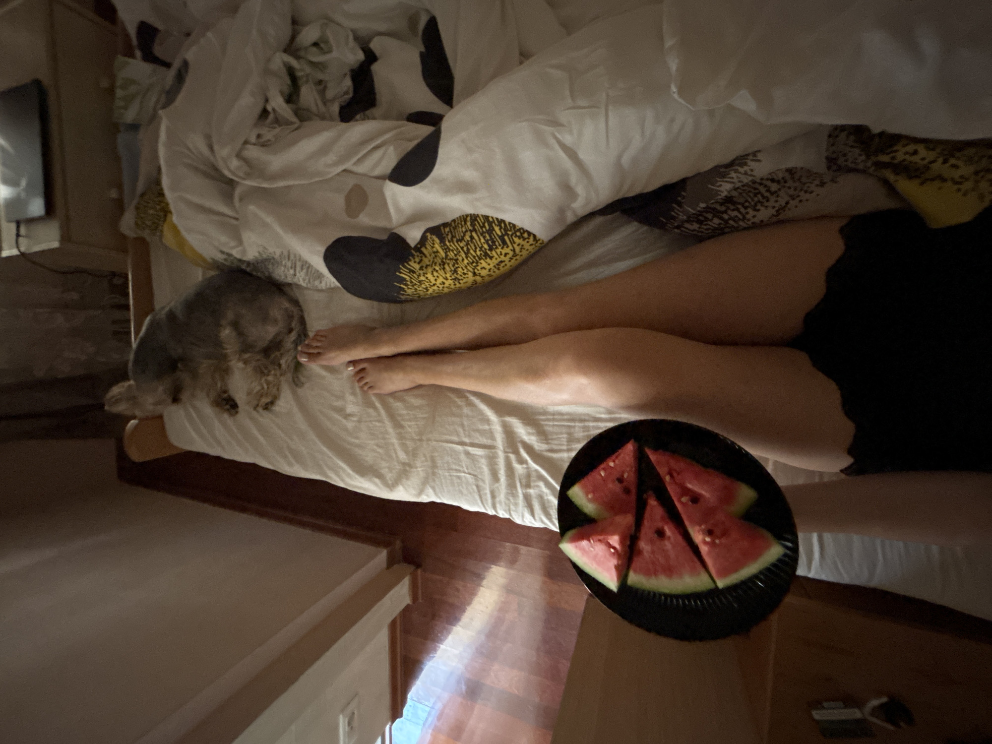 A person is lying in a bed with a dog. The person is partially covered by a white duvet with a black and yellow pattern. They are wearing black shorts. Their legs are visible, and their feet are resting on the duvet. The dog, a small grey and tan breed, is lying on the duvet near the person's feet. A black plate with slices of watermelon is on the bed in front of the person. The room is dimly lit, suggesting it is either early morning or late evening. Sunlight is streaming through a window, casting a reflection on the wooden floor. The scene appears to be in a bedroom. There is a television screen visible on the left side of the image. The setting is Budva, Montenegro.
