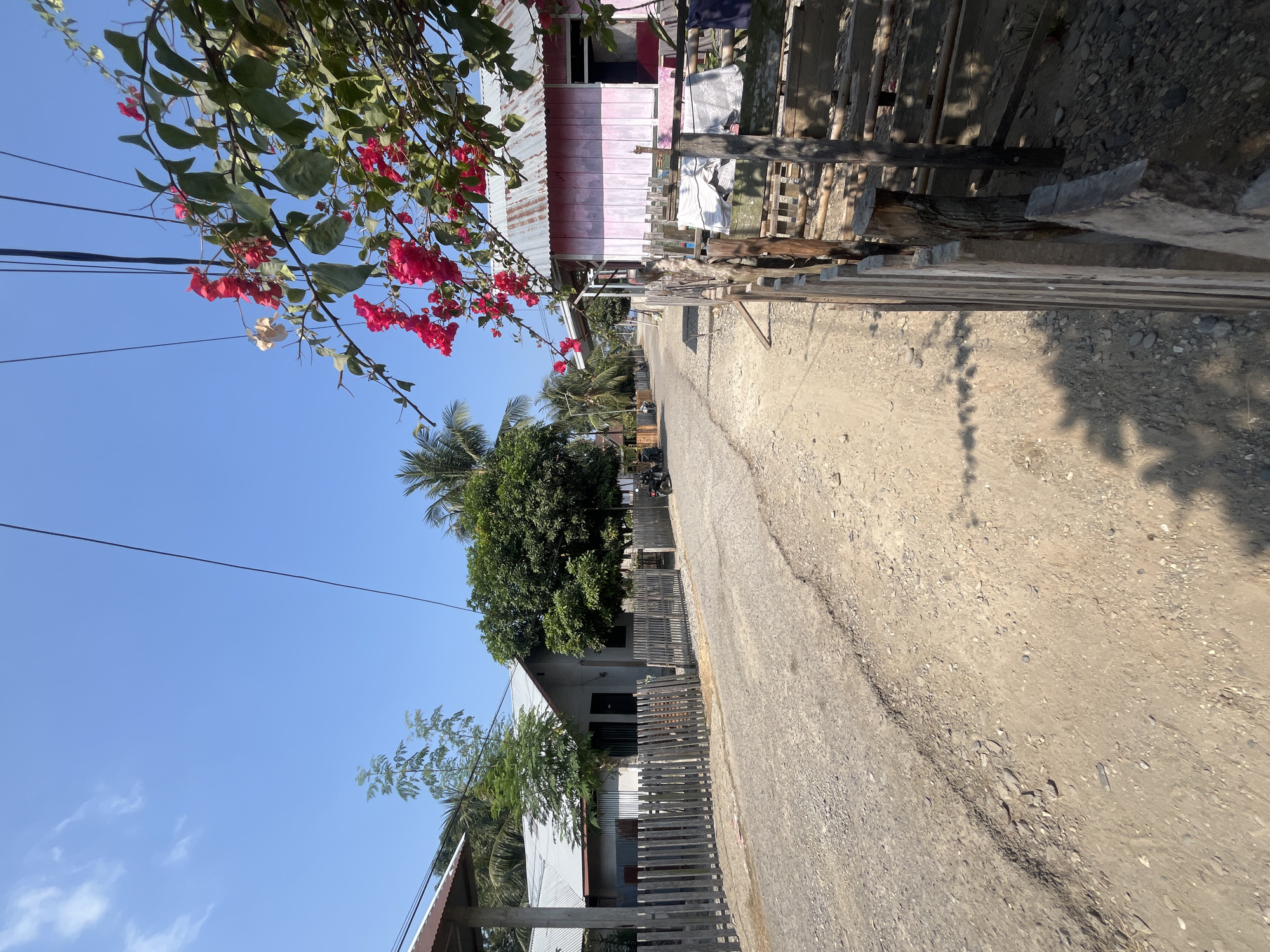 The image depicts a rural road in Wayipa, Indonesia, under a clear blue sky. The road is unpaved and appears to be made of gravel and dirt, with some unevenness and cracks visible. On the left side of the road, several houses with corrugated metal roofs and wooden fences are present. Some houses have a concrete or stucco exterior, while others appear to be constructed from simpler materials. Trees and vegetation are interspersed between the houses. A motorcycle is parked in front of one of the houses.

On the right side of the road, a pink-colored house with a corrugated metal roof is visible, with a wooden fence in front of it. Hanging laundry is also visible behind the fence. A flowering plant with bright red blossoms is in the foreground, arching over the road and the pink house. Power lines are strung across the top of the image, contributing to the rural atmosphere. The overall impression is one of a quiet, sunny day in a village setting.