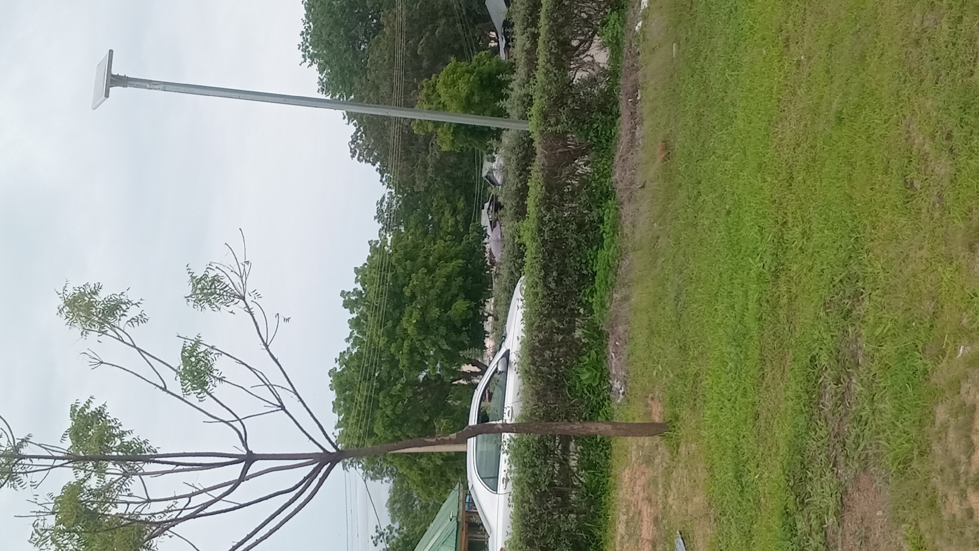 This media file captures an outdoor scene in Jalingo, Nigeria. A prominent subject is a white sedan parked partially behind a neatly trimmed green hedge. The car appears to be in a stationary position. To the left of the car and hedge, a young tree with thin branches and sparse green leaves stands, its trunk positioned in the foreground. Behind the hedge, a dense line of trees forms a backdrop, with lush green foliage suggesting a verdant environment.
In the upper left portion of the image, a tall, silver pole with a flat, rectangular solar panel attached to its top rises against a hazy, overcast sky. This suggests the presence of street lighting or a power source utilizing solar energy. Power lines are also visible strung between poles in the background, adding to the sense of a developed area.
The weather appears to be cloudy or overcast, with the sky being a pale gray. The overall lighting is diffused, indicating it might be daytime, possibly morning or late afternoon, with no direct sunlight. The scene suggests a semi-urban or suburban setting, possibly a roadside or park area, given the combination of greenery, a car, a solar-powered light pole, and power lines. No people are clearly visible in the image, nor are there any obvious signs of specific activity beyond the parked car. The environment looks generally well-maintained with the manicured hedge and grass. There is no visible text in the media file.