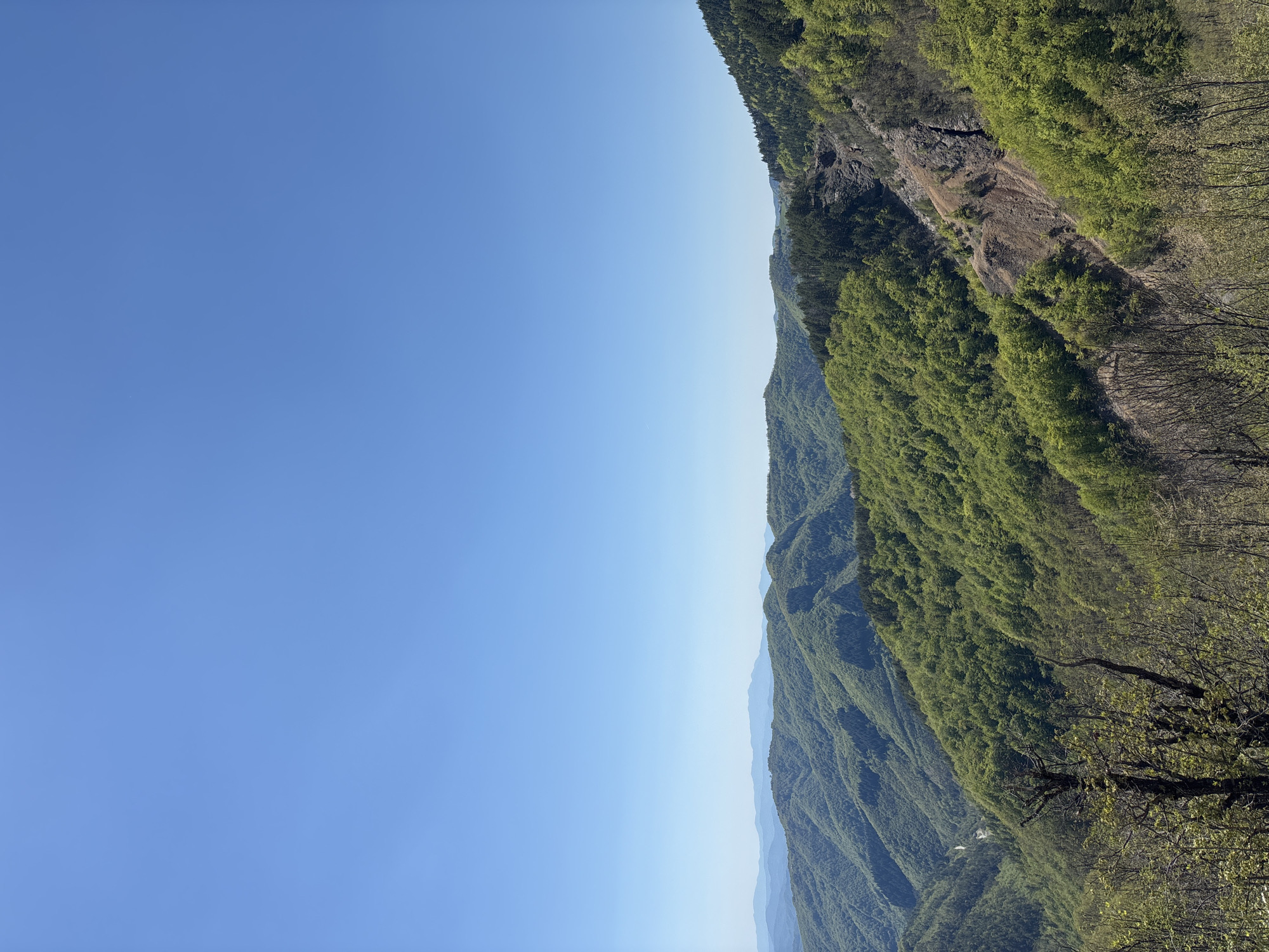 The image depicts a mountainous landscape in Petrov Dol, Bulgaria, featuring a clear blue sky covering the left side of the frame. Dense green forests blanket the rolling hills and mountains on the right, extending into the distance where they fade into a hazy blue. A rocky cliff face, partially barren, is visible amidst the trees. Sparse branches with budding leaves are seen on the foreground right.