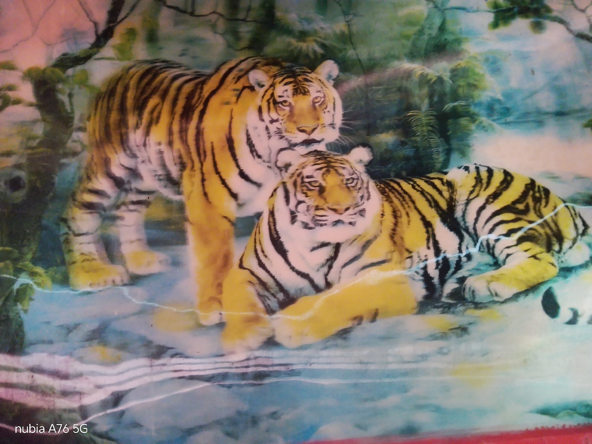 The image depicts a painting of two tigers in a naturalistic jungle setting. One tiger is standing, facing left, while the other is lying down, facing right. The environment features lush green foliage, trees, and a body of water. The style of the painting is realistic, with attention paid to the details of the tigers' stripes and fur. The overall impression is one of a peaceful and serene natural scene. There is no discernible location in the city of Cakung, Indonesia, as this is a painting and not a photograph of a real place. The image also includes a watermark in the bottom left corner that reads "nubia A76 5G".