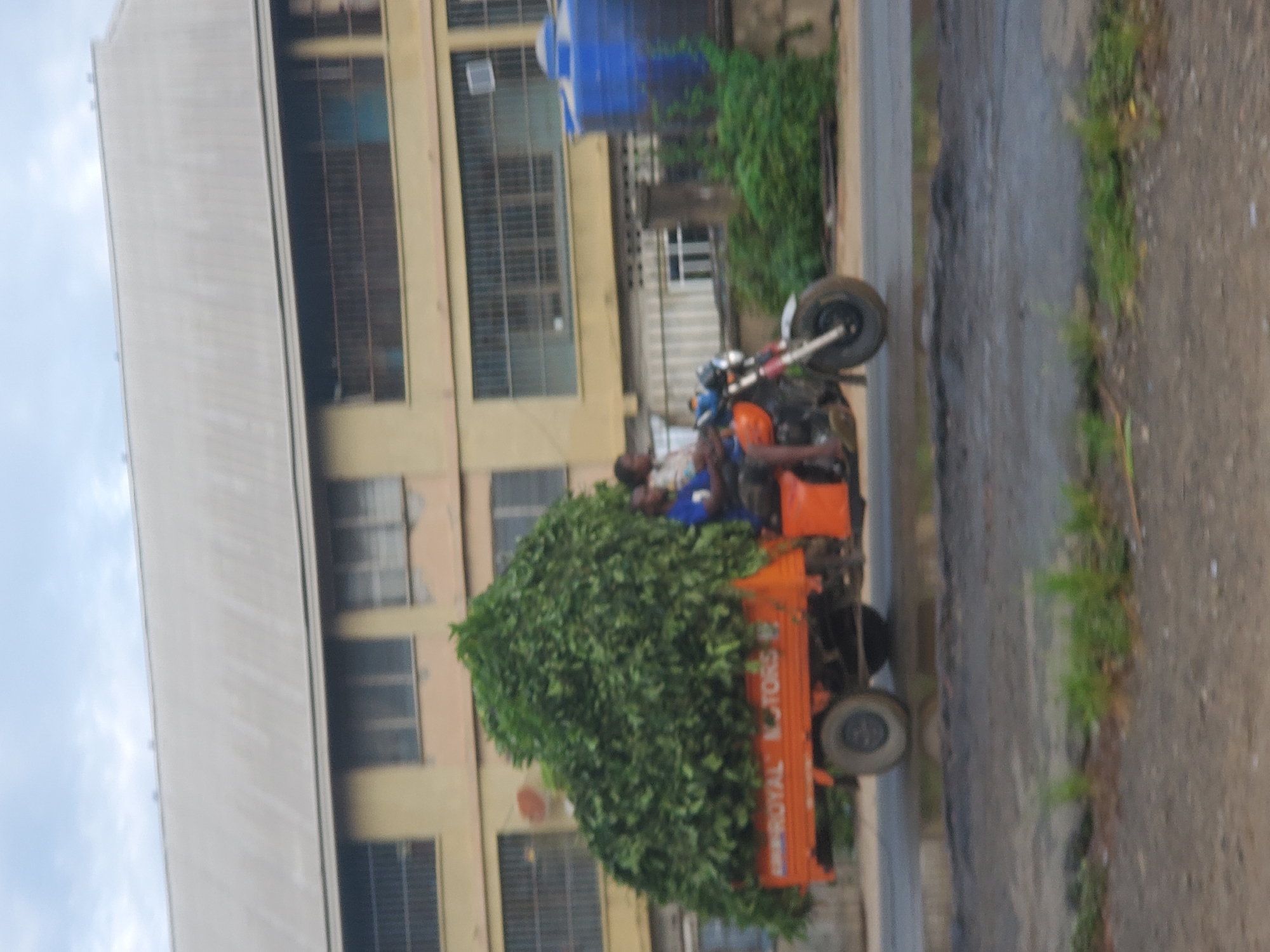 An image shows a three-wheeled motorcycle, bearing the words "ROYAL MOTORS," overloaded with green foliage, with two people riding it on a street in an urban environment. A tall building with multiple windows dominates the left side of the scene. The environment includes a road with visible greenery on its sides and a sky suggesting an overcast day. The location is identified as being in the city of Unknown, Unknown.