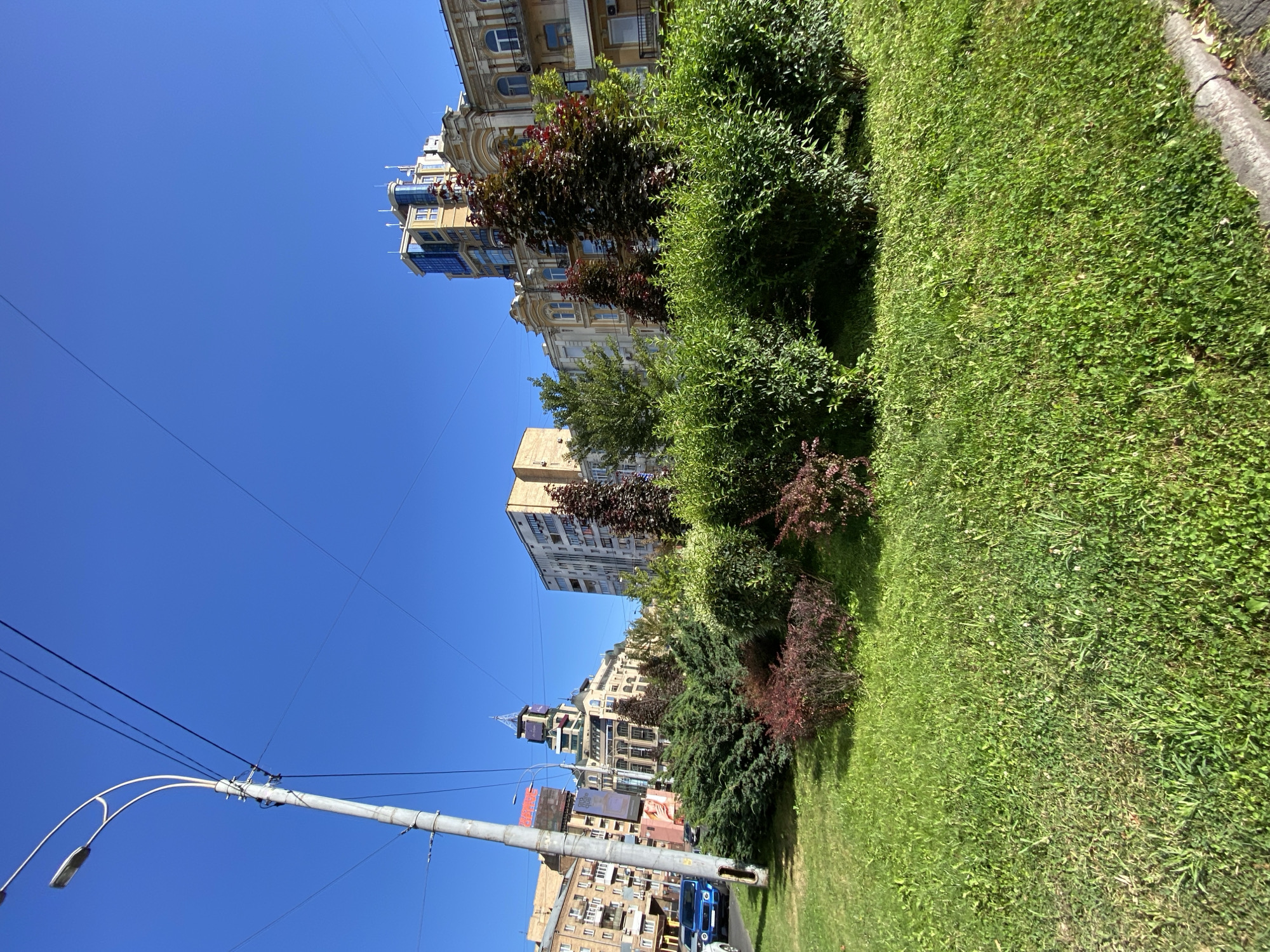 The image depicts a street view in an urban environment under a clear blue sky. In the foreground, a patch of lush green grass is visible, bordered by a sidewalk. Behind the grass, a variety of green and reddish bushes are planted, creating a natural border. To the left, a tall lamppost with wires extends upwards. Beyond the greenery, a street with a blue car and other vehicles can be seen. The background features several multi-story buildings with architectural styles varying from older, ornate designs to more modern structures with glass elements. The overall scene suggests a well-maintained urban area with elements of both nature and architecture.