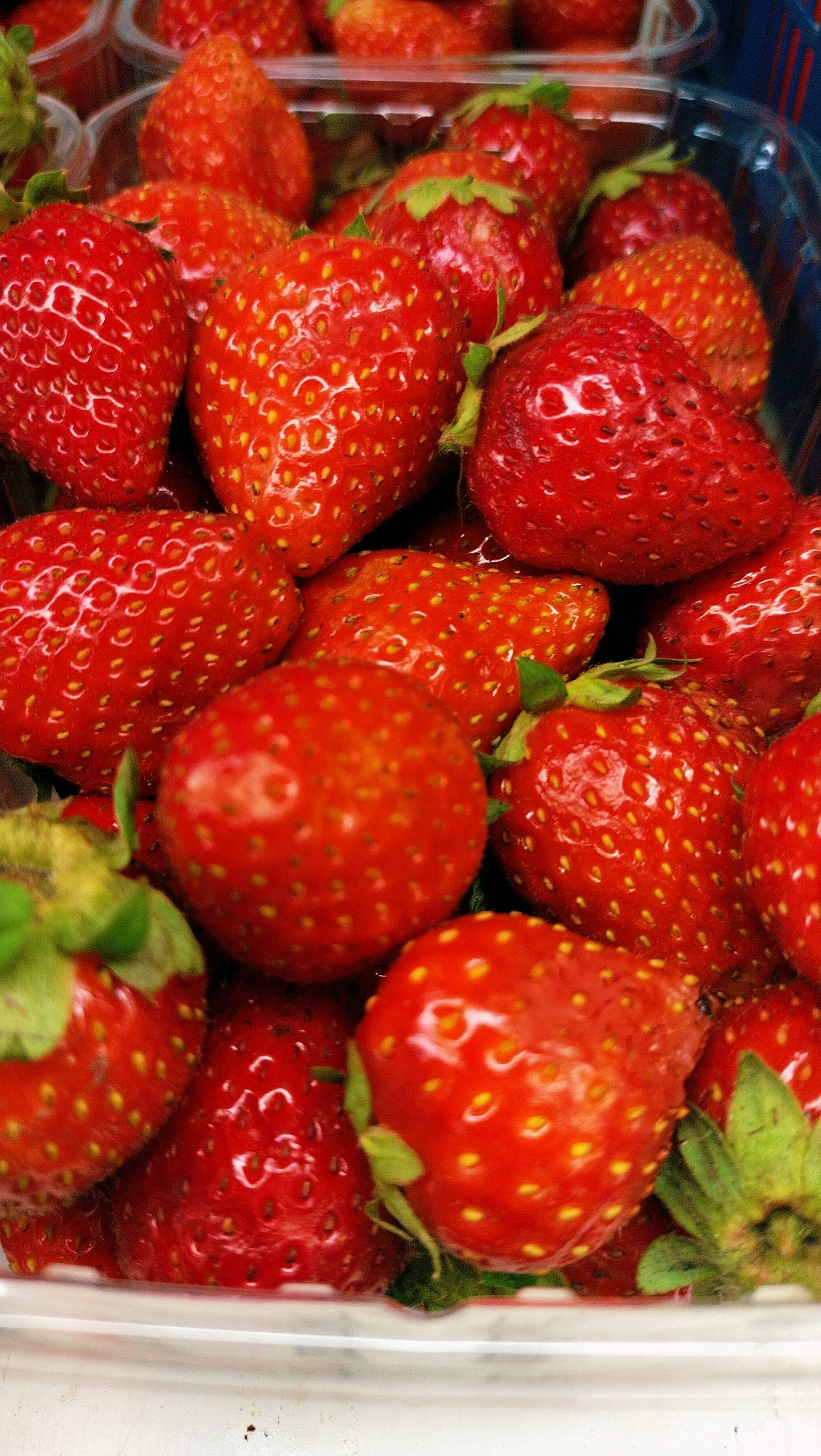 The image shows a close-up, overhead view of a clear plastic container filled with fresh, ripe strawberries. The strawberries are a vibrant red, with visible seeds and green stems. The container is partially filled, with many berries overlapping each other. The lighting suggests an indoor setting, possibly a market or grocery store. There is no indication of the city of Horishni Plavni, Ukraine, or any people present in the image. The scene is static, focusing solely on the produce.