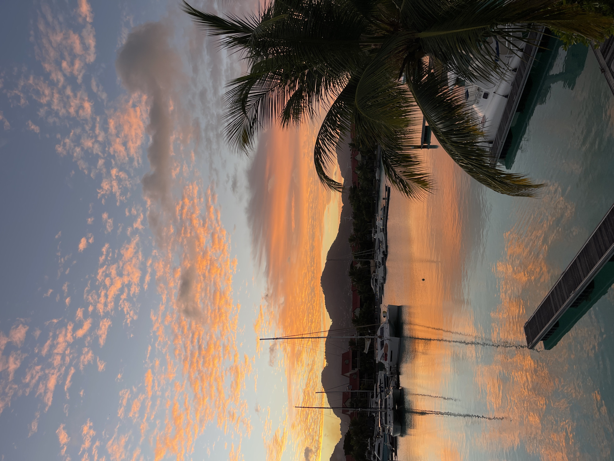 The image depicts a serene marina in Providence, Seychelles, at sunset. The sky is ablaze with vibrant orange and pink hues, cast by the setting sun, with scattered clouds adding texture to the scene. The calm water of the marina perfectly reflects the colorful sky and the silhouettes of the surrounding landscape, which includes lush green hills dotted with buildings. Several sailboats and yachts are moored in the marina, their masts standing tall against the twilight sky. A palm tree, with its fronds obscuring a portion of the view, frames the right side of the image, adding a tropical element to the scene. A wooden jetty extends into the water in the foreground, further enhancing the tranquil atmosphere. There are no people visible in the image. The overall impression is one of peaceful beauty and tropical charm.