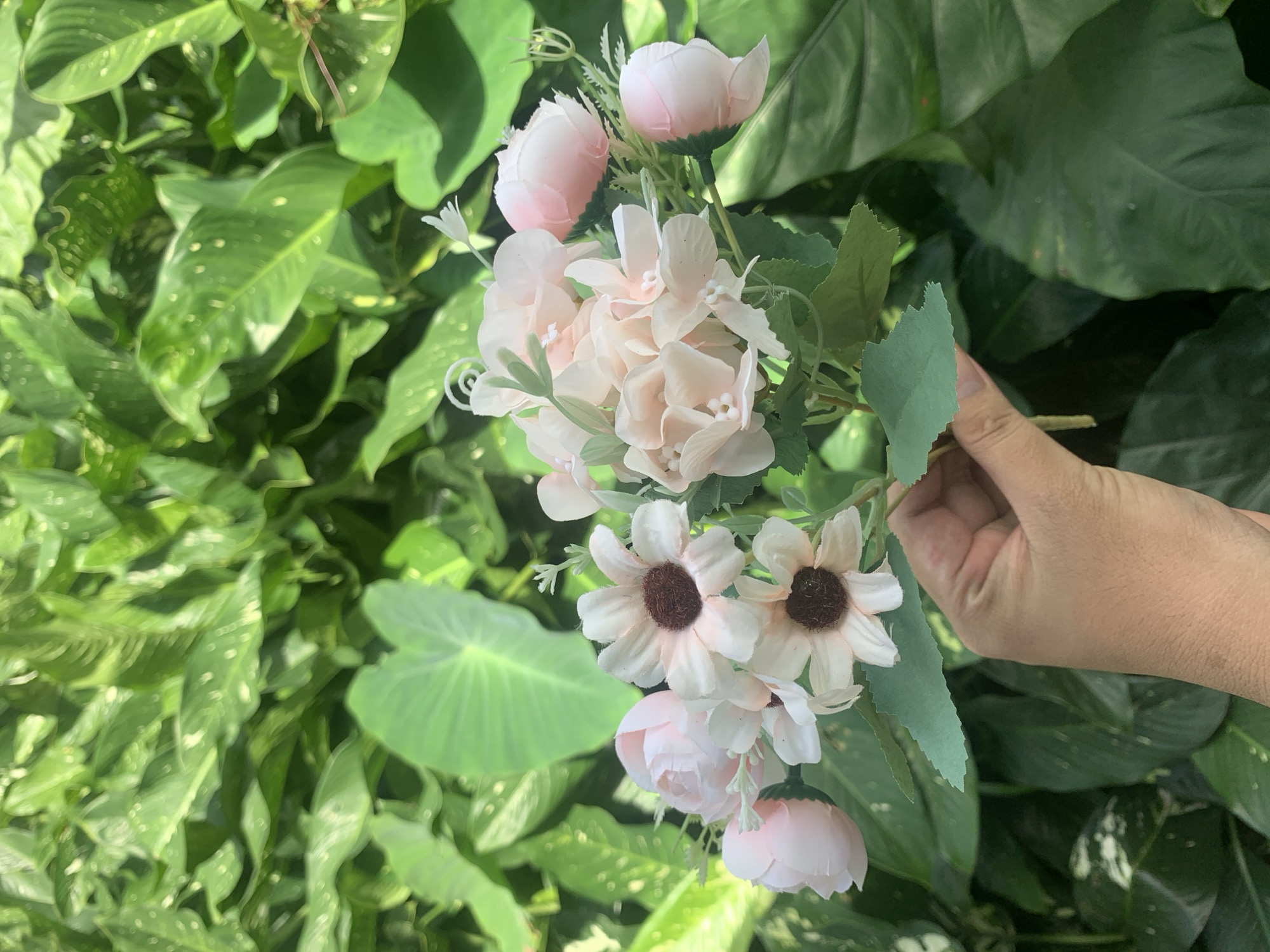 A hand holds a bouquet of light pink artificial flowers in front of a lush, green leafy background. The bouquet includes several clusters of small, delicate flowers and some larger, bud-like flowers. The background consists of large, dark green leaves with some lighter green speckling. The lighting suggests an outdoor setting, likely in a garden or natural environment. The image does not contain any elements that would allow for precise location identification in Kuala Pembuang, Indonesia.