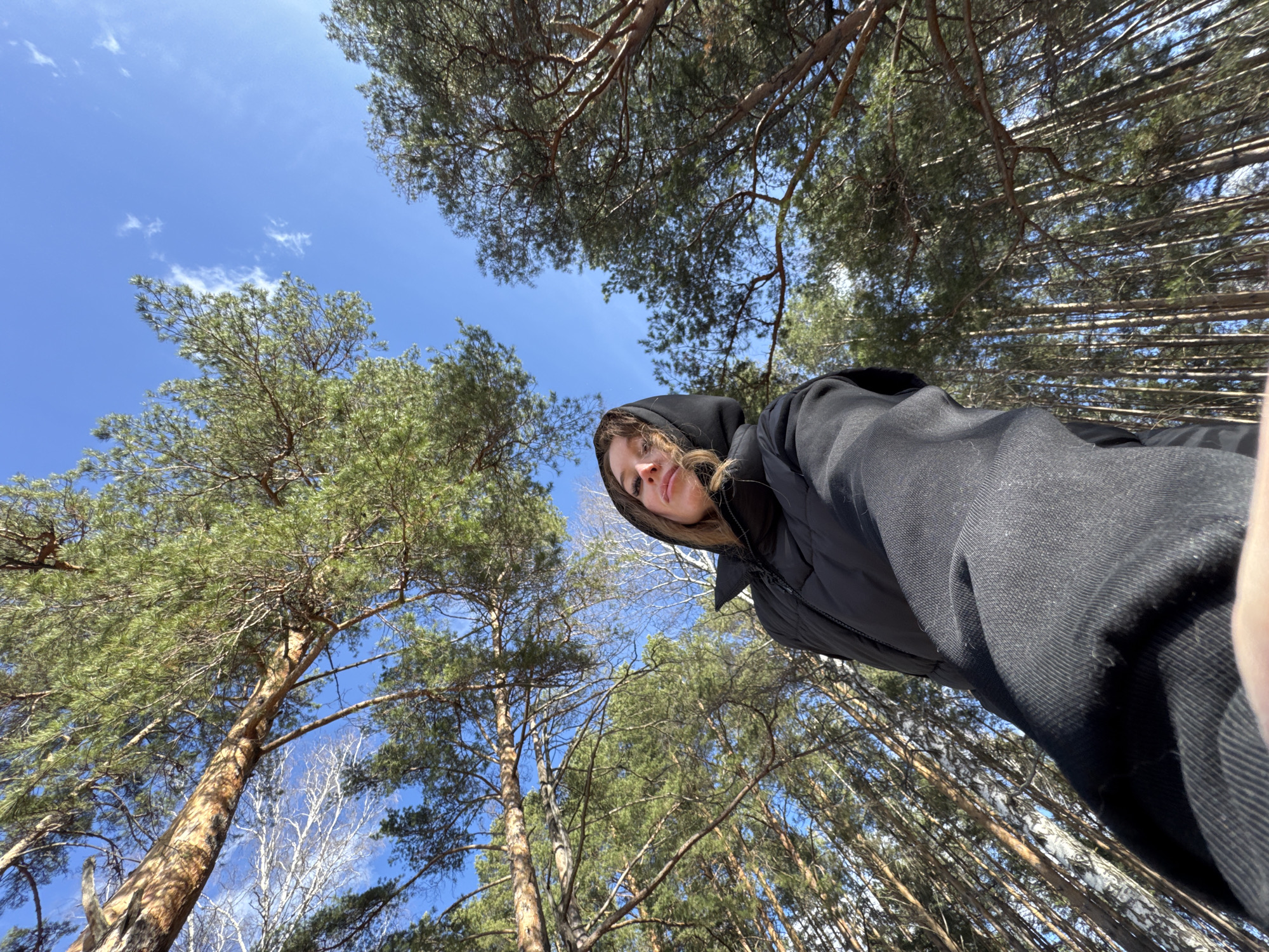 A low-angle shot captures a woman in a black hooded jacket looking down at the camera. The environment consists of a forest with tall pine trees, branches reaching upwards, and a clear blue sky. The image was likely taken on a sunny day. The location is Chaikovsky, Russia.