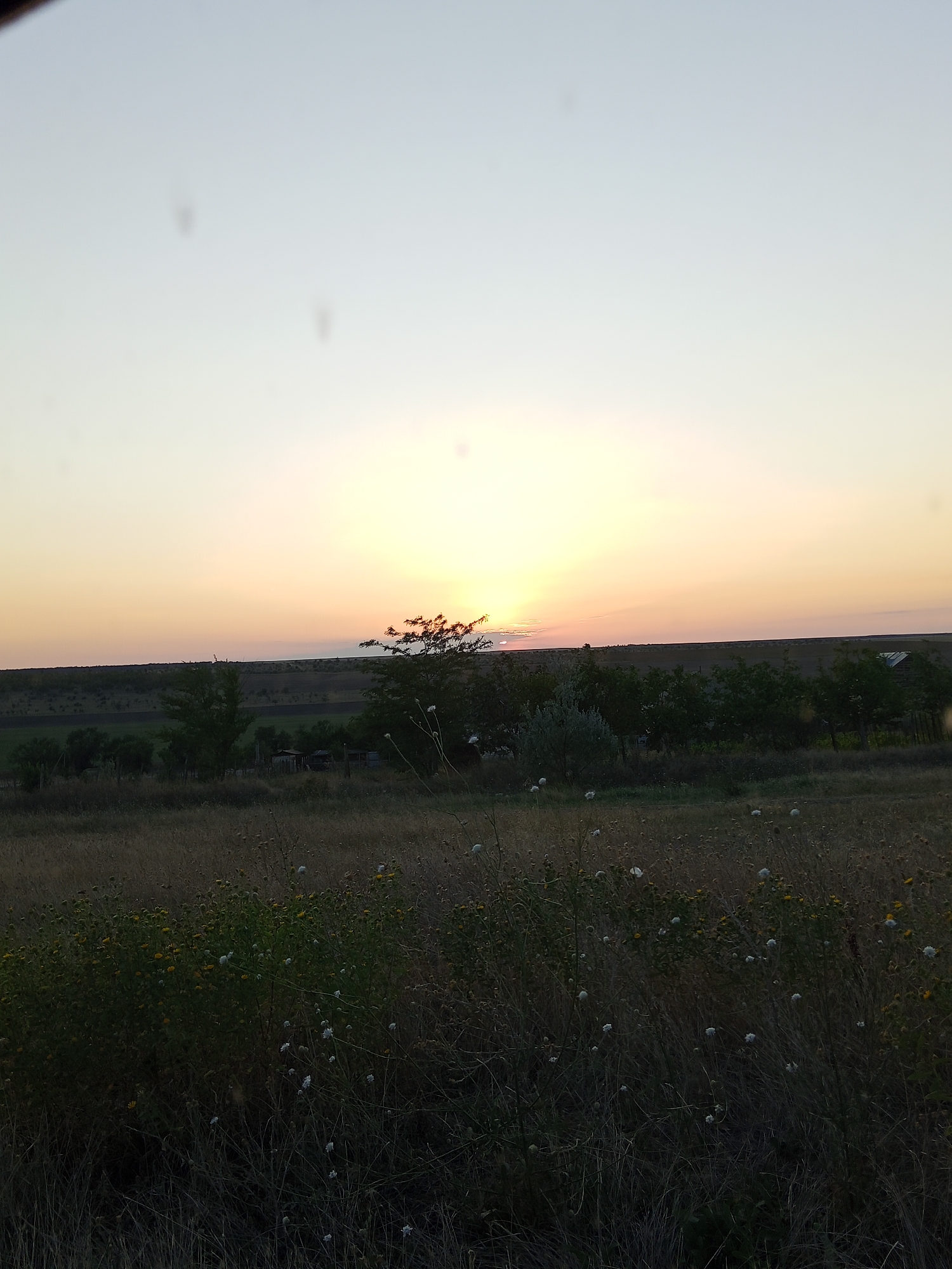 A wide shot captures a serene sunset over a rural landscape in Beșghioz, Moldova. The sky transitions from a pale blue at the top to soft hues of orange and yellow near the horizon, where the sun is setting. A thin, dark line of distant hills or trees marks the horizon. In the mid-ground, a line of trees runs horizontally across the frame, interspersed with some smaller buildings or structures. The foreground is dominated by a field of dry grass and scattered wildflowers, some of which are white and fluffy, others yellow. The overall impression is one of tranquility and natural beauty at dusk.