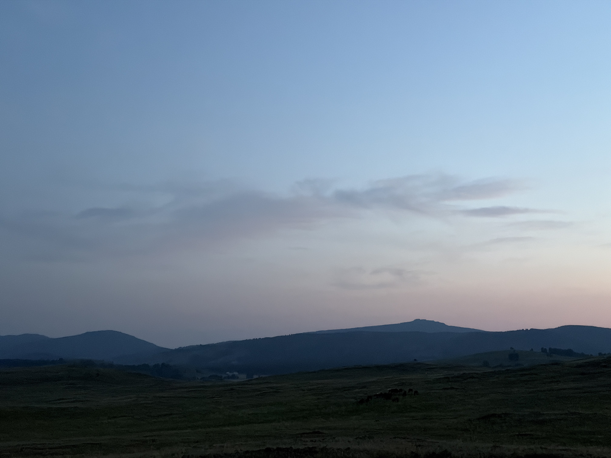 The image depicts a serene, expansive landscape of rolling hills and distant mountains under a pale blue twilight sky. The sky transitions from a lighter blue at the top to a soft pinkish hue near the horizon. Wisps of delicate clouds are scattered across the upper half of the sky.
In the mid-ground, a series of dark, silhouetted mountain ranges recede into the distance, their shapes softened by the fading light. The foreground consists of a vast, dark green grassy field, uneven and textured, with some darker patches suggesting rough terrain or shadows. On the right side of the field, a small herd of dark, indistinct shapes, likely livestock such as cows or horses, are gathered. The overall atmosphere is tranquil and natural, indicative of a rural or wild open space at dusk. The location is specified as Kuseevo, Russia.