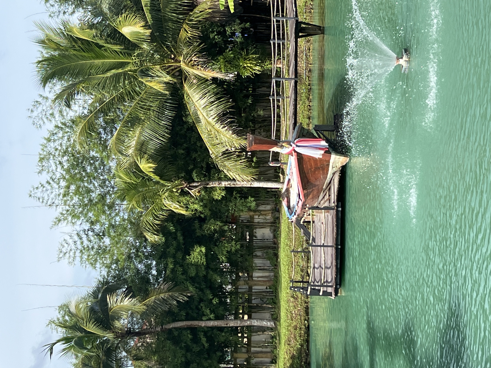 This image depicts a serene tropical scene. The primary subjects are lush green palm trees and dense foliage, framing a tranquil turquoise body of water. A wooden walkway juts out into the water, leading to a small, rustic wooden structure adorned with colorful fabric. In the water, a fountain sprays water upwards, creating a dynamic visual element against the calm backdrop. The setting suggests a natural, possibly resort-like environment, given the presence of the walkway and fountain. The lighting indicates it is daytime, with bright sunlight illuminating the scene. The overall mood is peaceful and relaxing, evoking a sense of a tropical getaway. There is no visible text in the image.