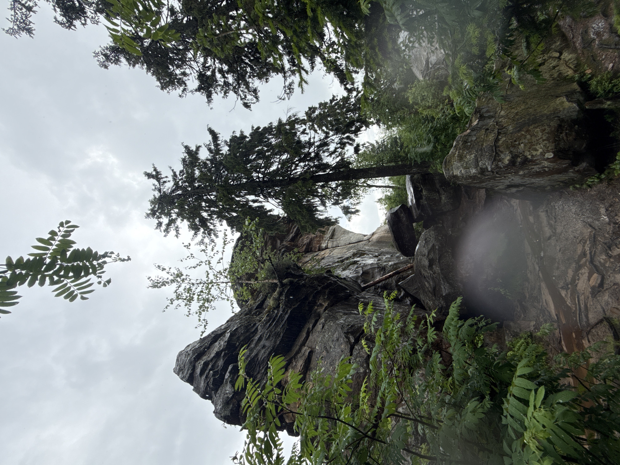 In the city of Shumikhinskii, Russia, a rocky archway formation dominates the landscape. The rock is layered and dark gray, with lighter brown and reddish hues showing through. Lush green foliage, including ferns and trees with needle-like leaves, surrounds the formation, some of which are growing directly from the rock. The ground is rocky and uneven, with a trail visible winding through the boulders. The sky above is overcast and gray, suggesting rainy or cloudy weather, as evidenced by water droplets visible on leaves and rocks. The overall impression is a natural, rugged environment, possibly a park or wilderness area.