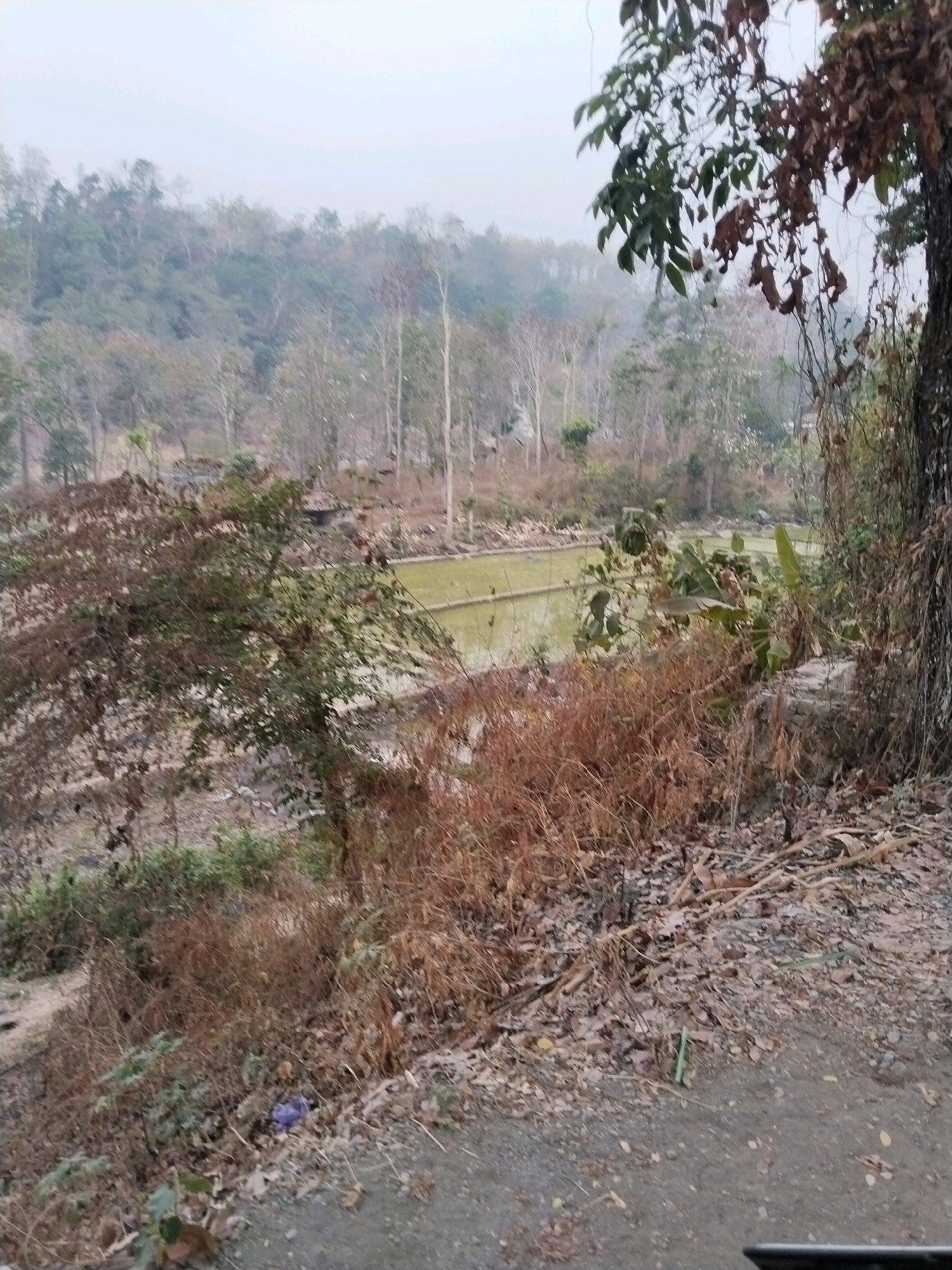 The image depicts a rural landscape in Sangkanjaya, Indonesia. A terraced rice paddy, partially filled with water, is visible in the mid-ground. The surrounding vegetation consists of a mix of deciduous trees, some with bare branches, and leafy green plants. The ground is covered in dry leaves and twigs, suggesting a dry season. In the foreground, a dirt path runs along the right side of the image, and a large tree with a rough bark is prominent. The background shows a gentle slope covered in trees, with a hazy sky. There are no people or animals visible in the scene. The overall atmosphere is tranquil and natural.