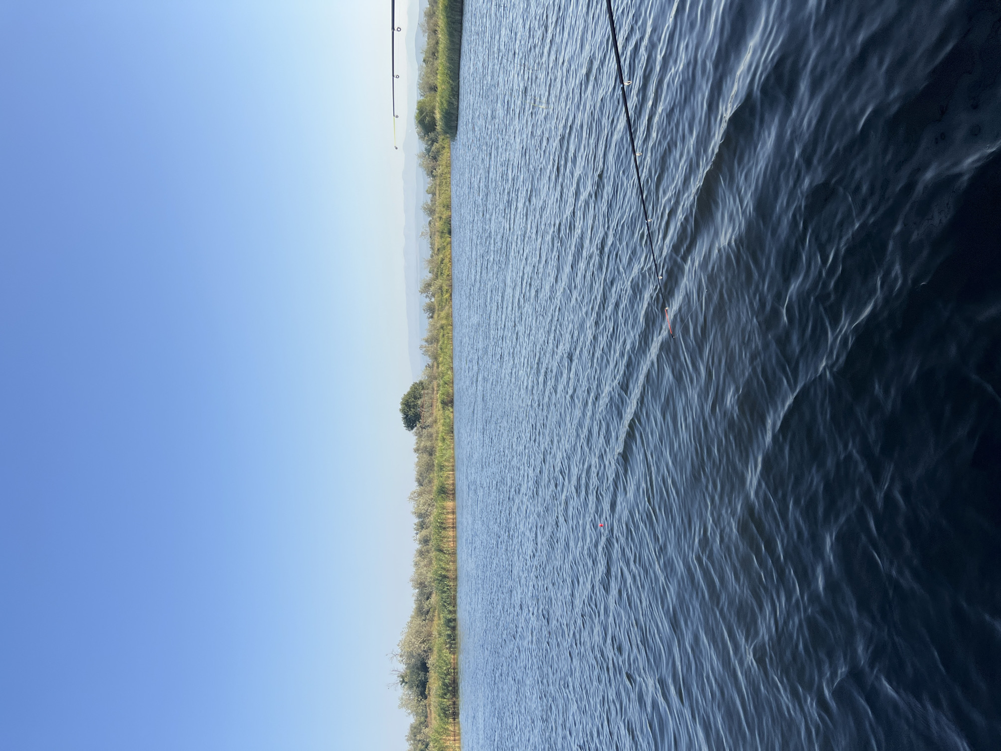 The image shows a body of water with reeds and trees on the far bank under a clear blue sky. Two fishing rods are visible in the foreground, with one extending across the water and the other in the upper right corner. A red fishing float is visible in the water. The scene appears to be a natural landscape, likely a lake or river, in an outdoor setting.