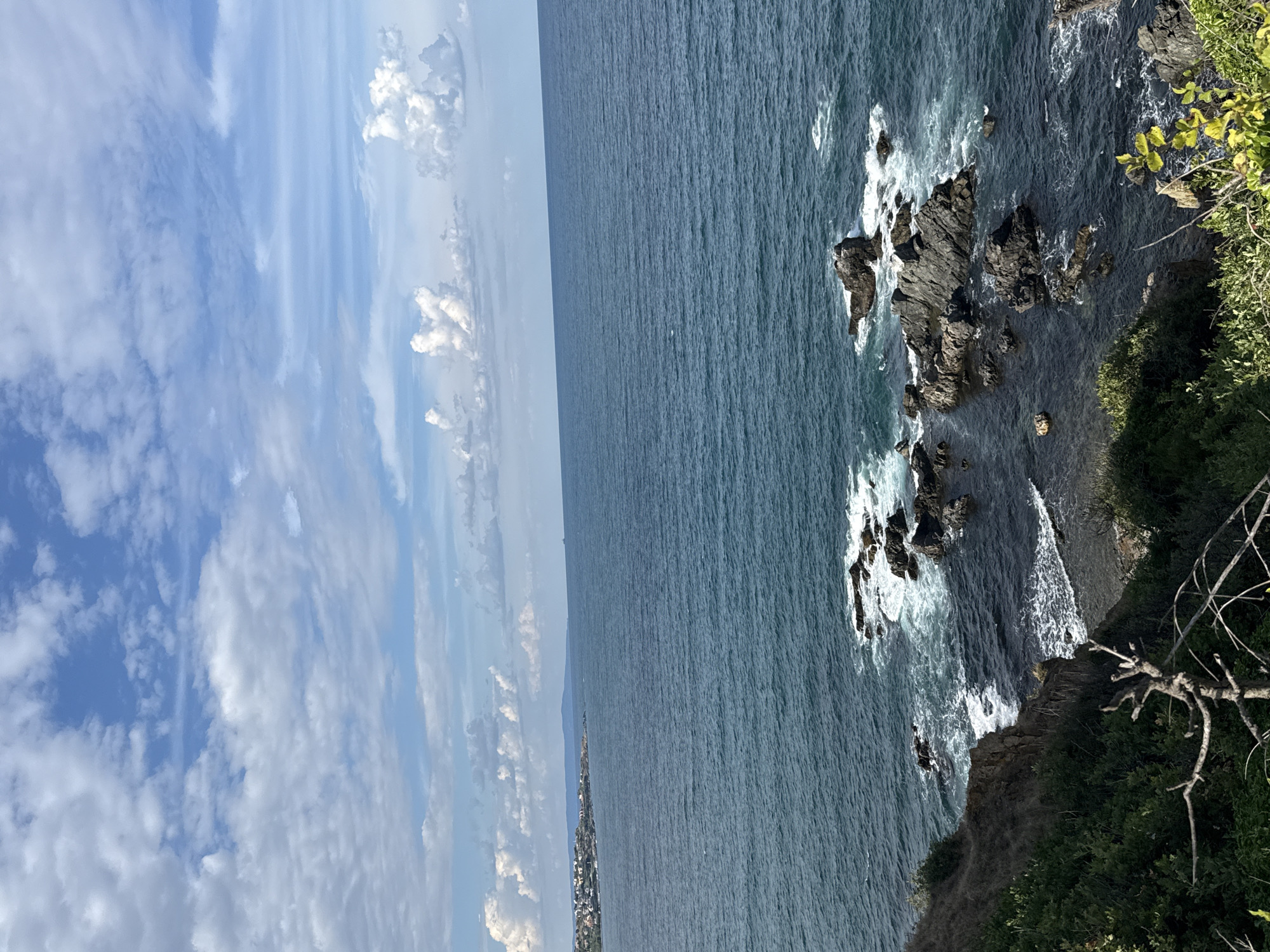 A scenic view of the sea, coastline, and sky. The sea is a deep blue, with white waves crashing against dark, rocky outcrops near the shore. The coastline is visible in the distance on the left, featuring buildings and a gentle slope leading down to the water. The sky is a bright blue, dotted with fluffy white clouds. The foreground shows a grassy cliffside with some dry, bare branches of a tree.