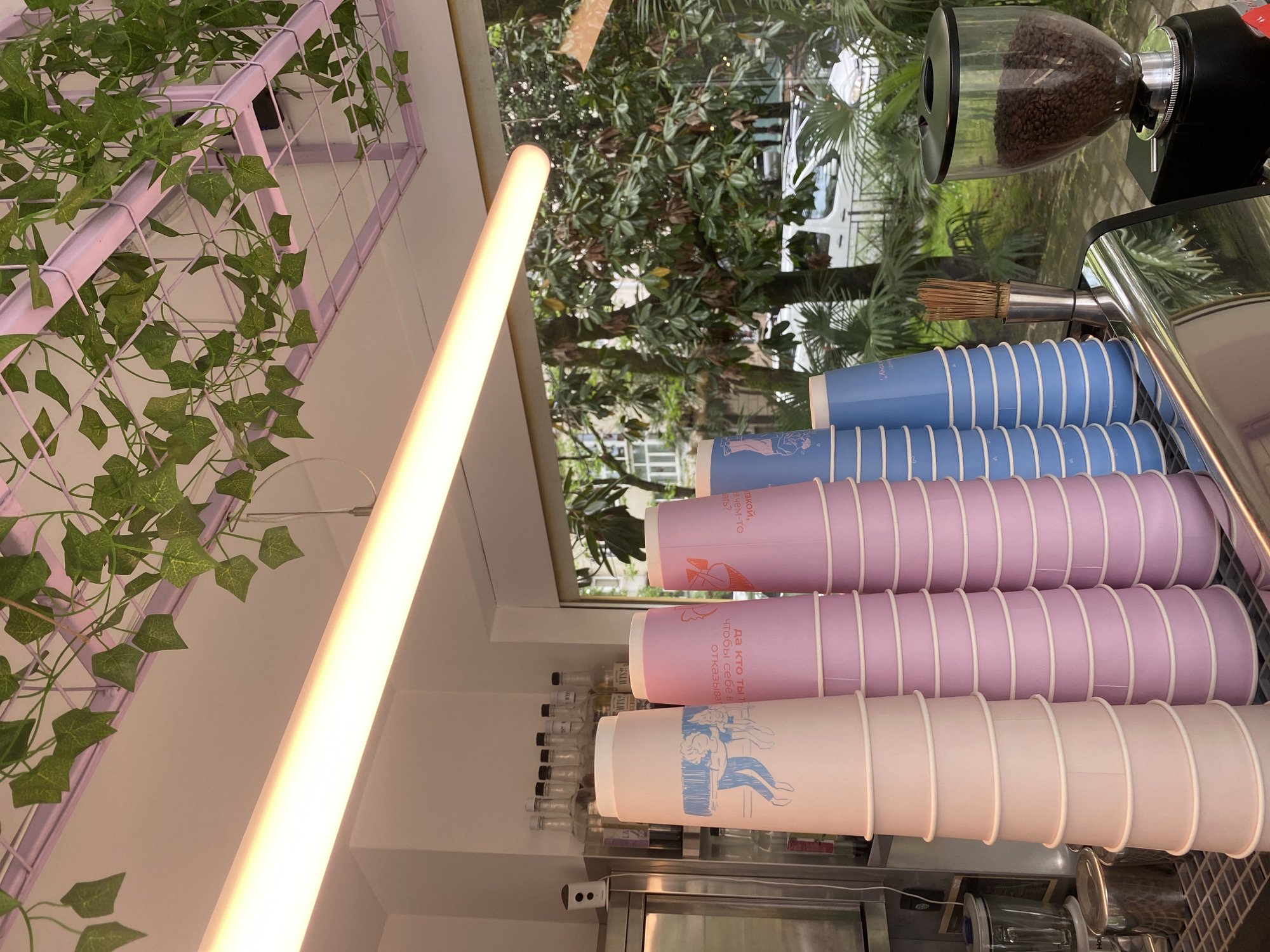 The image shows a stack of pastel-colored paper cups near a coffee grinder in what appears to be a café or coffee shop. The cups are arranged in horizontal rows, with different colors: white, pink, and blue, they have inscriptions in Russian. In the background, a window reveals lush greenery, suggesting an outdoor setting. A bright fluorescent light is visible near the left edge of the frame, and an artificial green plant is hung near a violet lattice. Based on the Russian inscriptions on the cups and the visible signs, this scene is likely taking place in a café in Sochi, Russia.