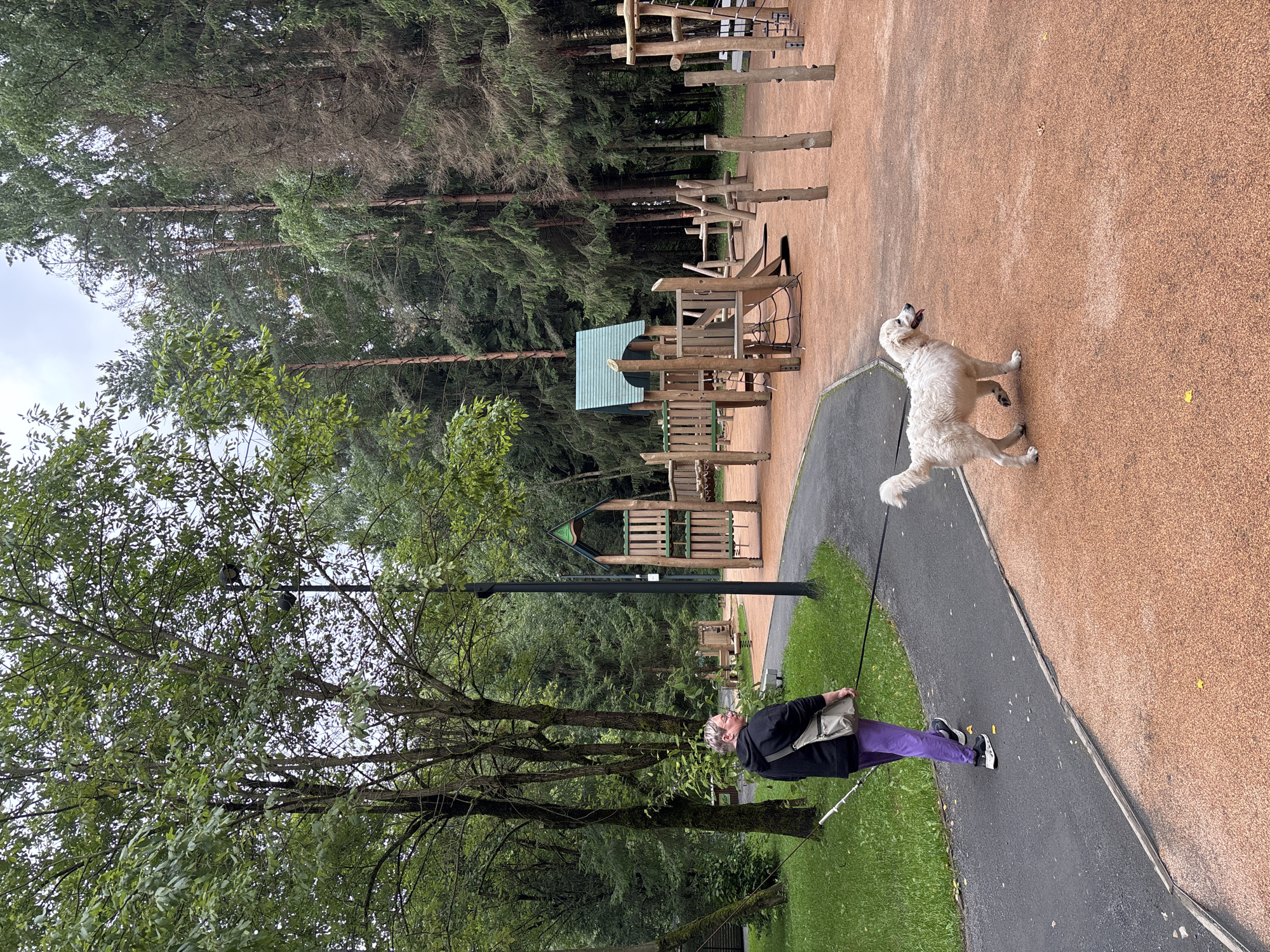 A person with blonde hair wearing a black hoodie and purple pants is walking a white dog on a leash in a park. The person is holding a white cane in their left hand. The dog is a golden retriever mix and is looking to the right. The park has a playground with wooden structures, a paved path, and a grassy area. The background consists of trees and a cloudy sky. The location is in the city of Pavlovskaya Sloboda, Russia.