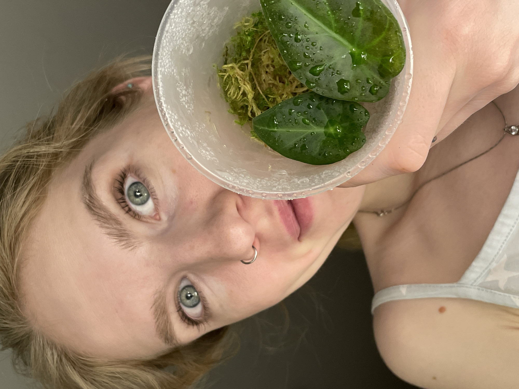 A person with blond hair and blue-green eyes holds a clear plastic container filled with damp green moss and two small, dark green leaves covered in water droplets. The container is positioned close to the camera, obscuring part of the person's face. The person has a silver nose ring and appears to be wearing a gray tank top with white stars. The background is a plain, dark gray color. There is no indication of this image being taken in Izhevsk, Russia.