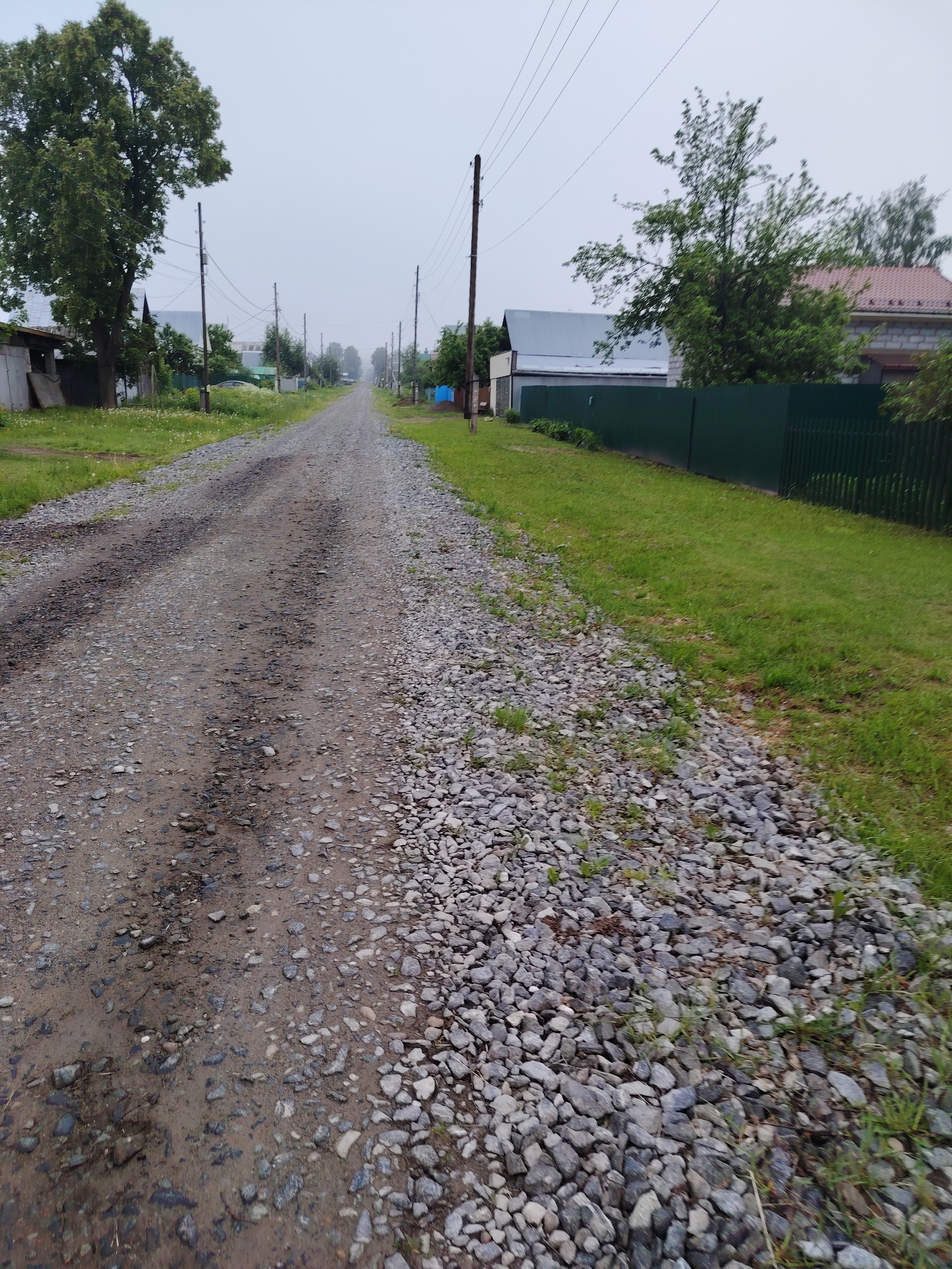 The image depicts a long, straight, unpaved road made of gravel and dirt, stretching into the distance under an overcast sky in Chaikovsky, Russia. The road appears damp in places, suggesting recent rain. Green grass verges line both sides of the road.
On the left side of the road in the midground, a large, mature tree with dense green foliage stands prominently, partially obscuring some small, simple buildings or sheds. Utility poles with overhead wires extend along this side, receding into the background.
On the right side, a dark green picket fence runs parallel to the road. Behind the fence, a house with a reddish-brown tiled roof is visible, along with another tree. More utility poles and wires also line this side of the road, diminishing in size towards the horizon.
The sky is a uniform, pale gray, indicating a completely overcast day. A slight haze or mist is visible in the far distance, obscuring clear views further down the road. The scene is devoid of people or vehicles, conveying a quiet and still atmosphere in what appears to be a rural or suburban residential setting. No visible text is present in the image.